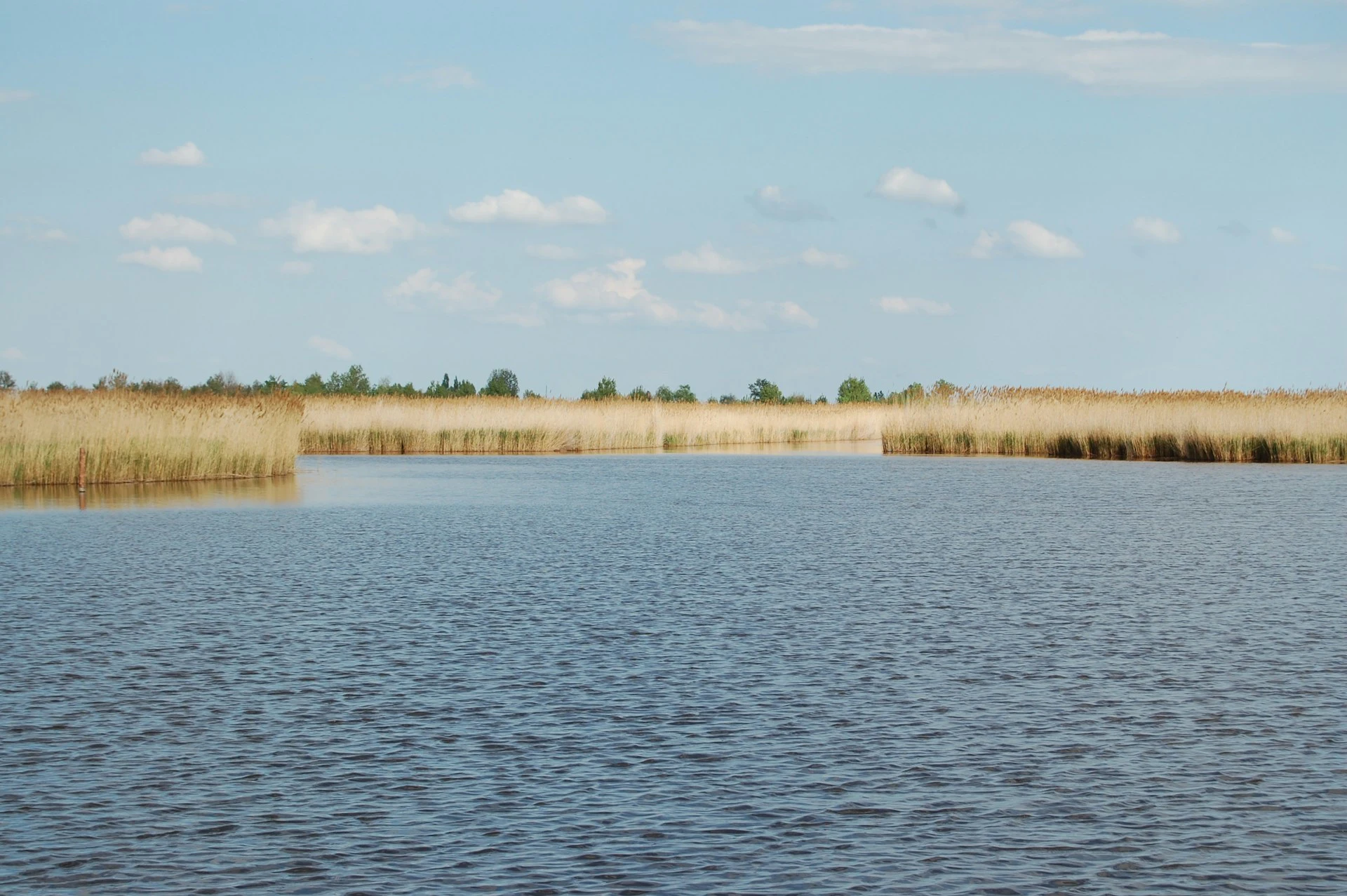 Rust 中使用 OpenTelemetry 与 tracing 实现分布式追踪与日志管理的实战指南