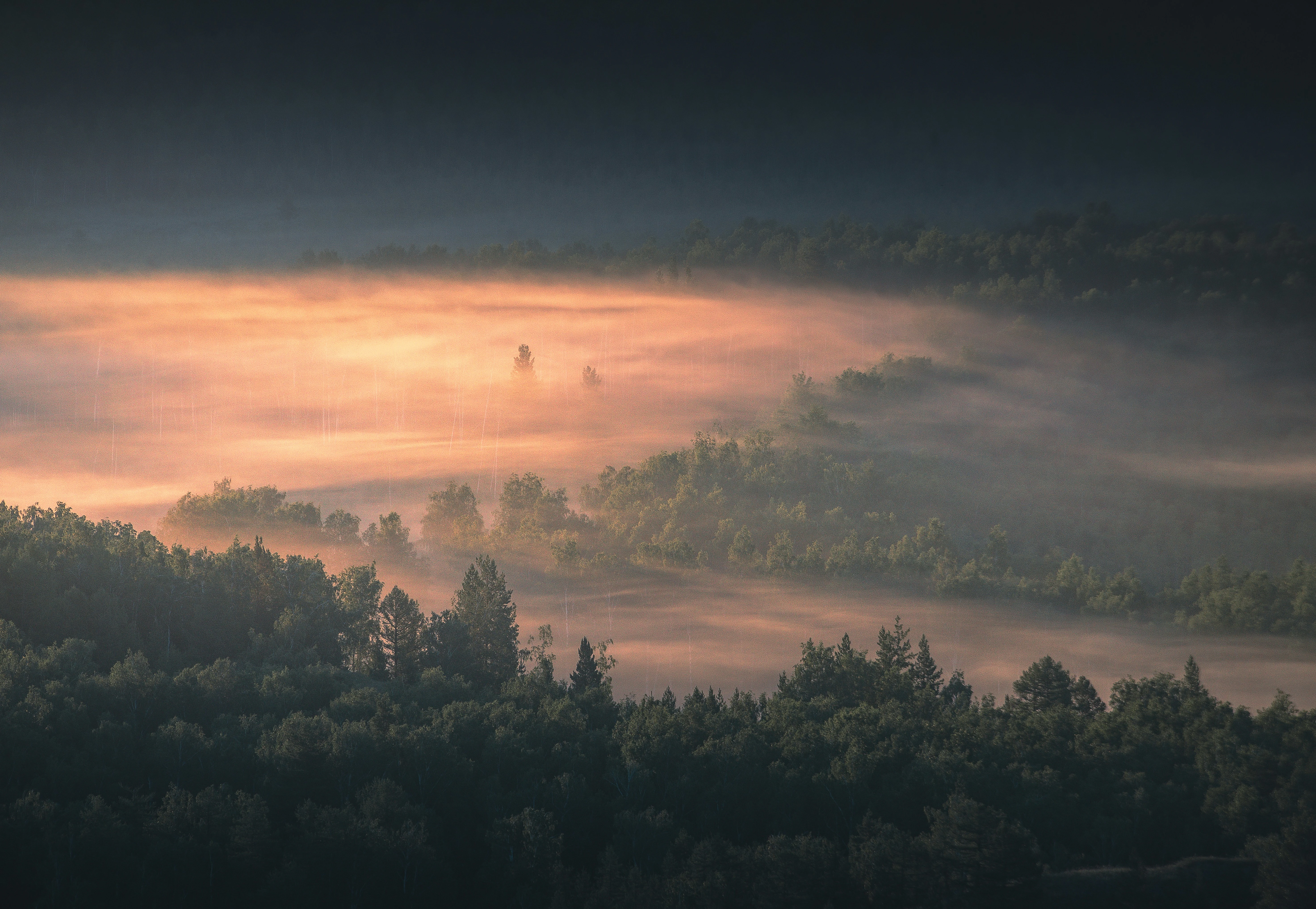 Rust DNS 解析的艺术：基于 Hickory-DNS 的深度实战指南