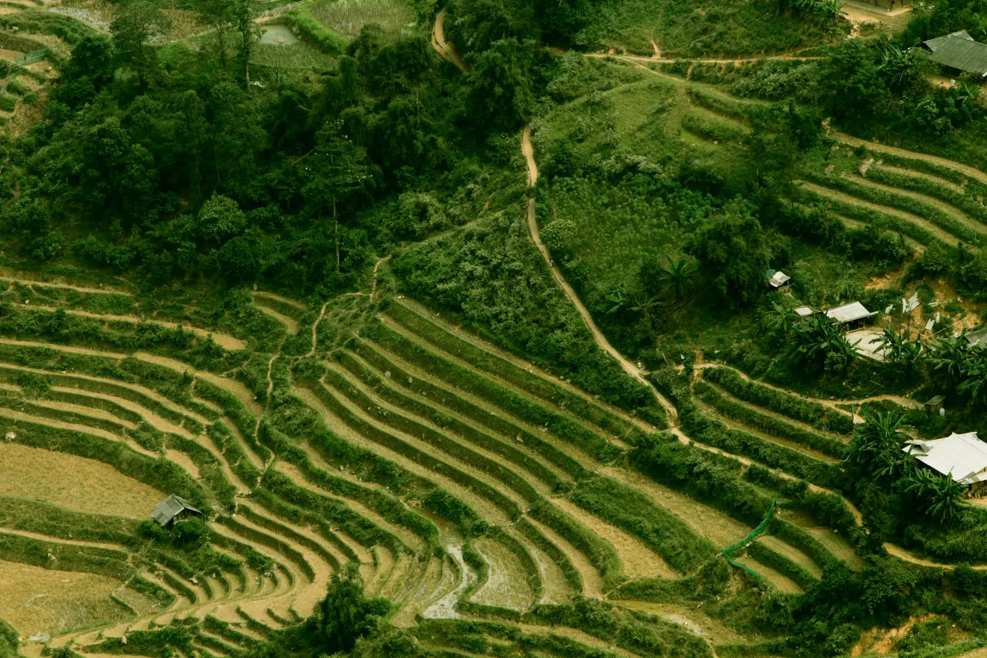 Dioxus 0.6 指南：高效开发，从 Dioxus 开始