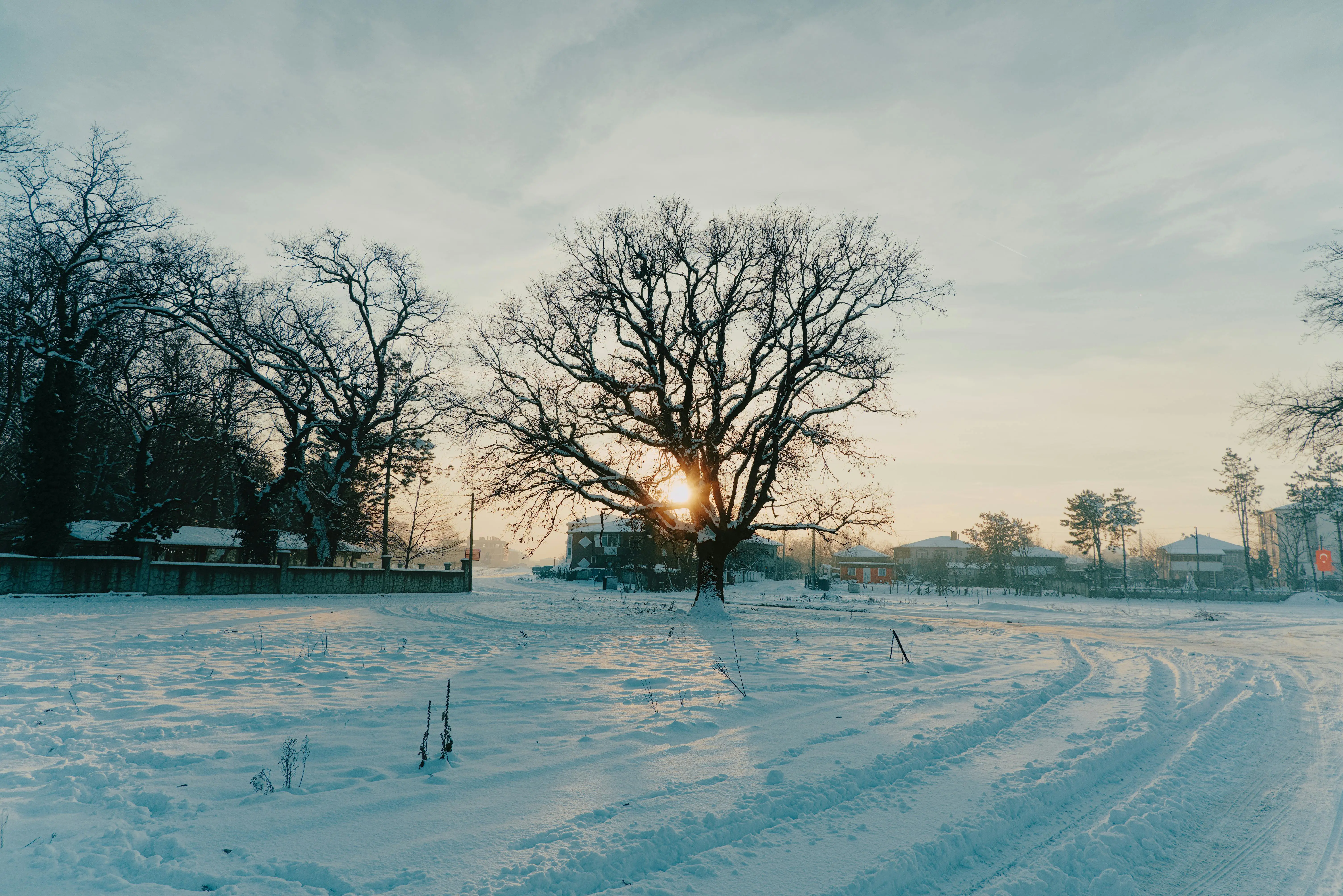 🦀 小寒三九，Rust 与你共破冰