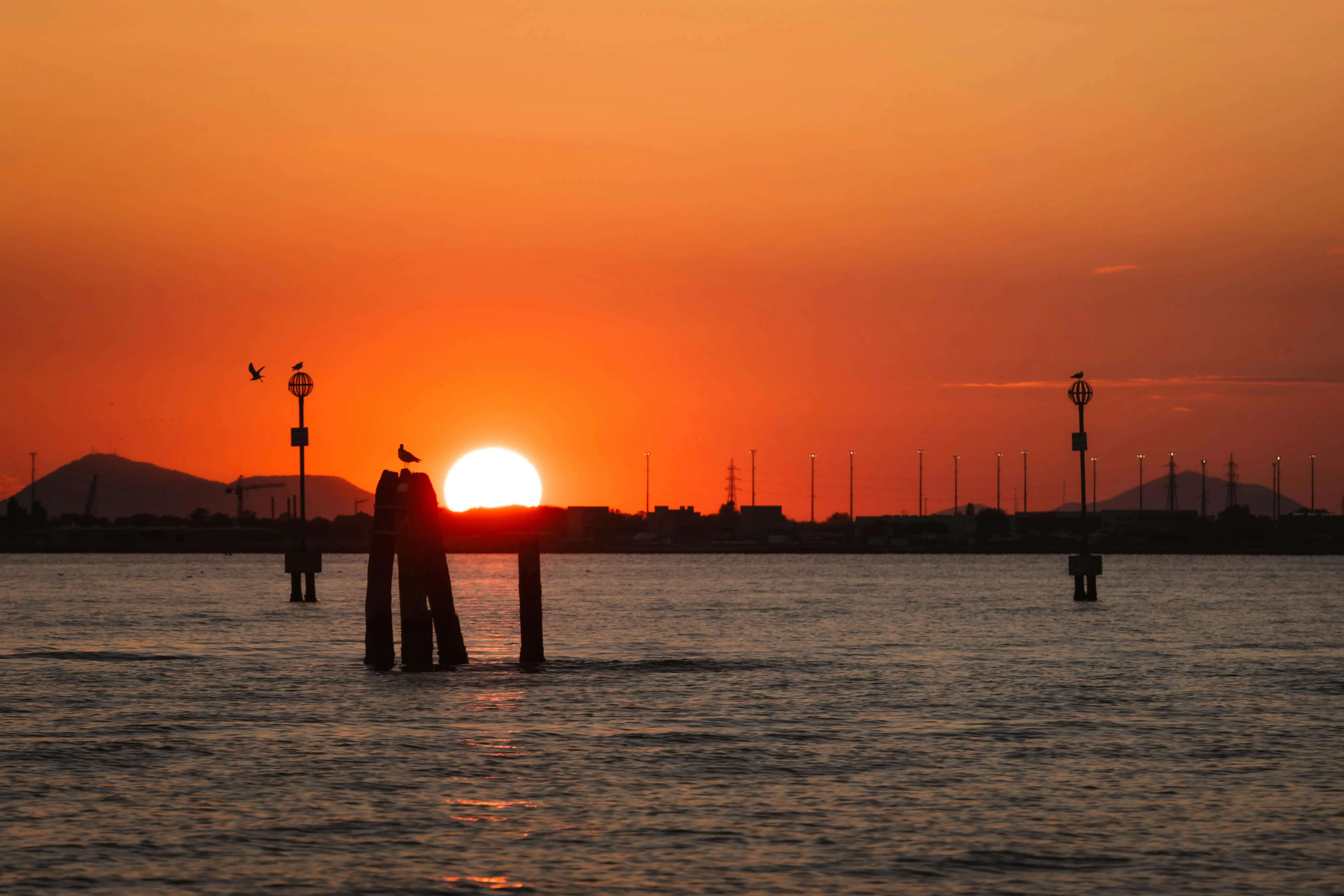 Moka 高阶：4 招把缓存命中率飙到 99% 