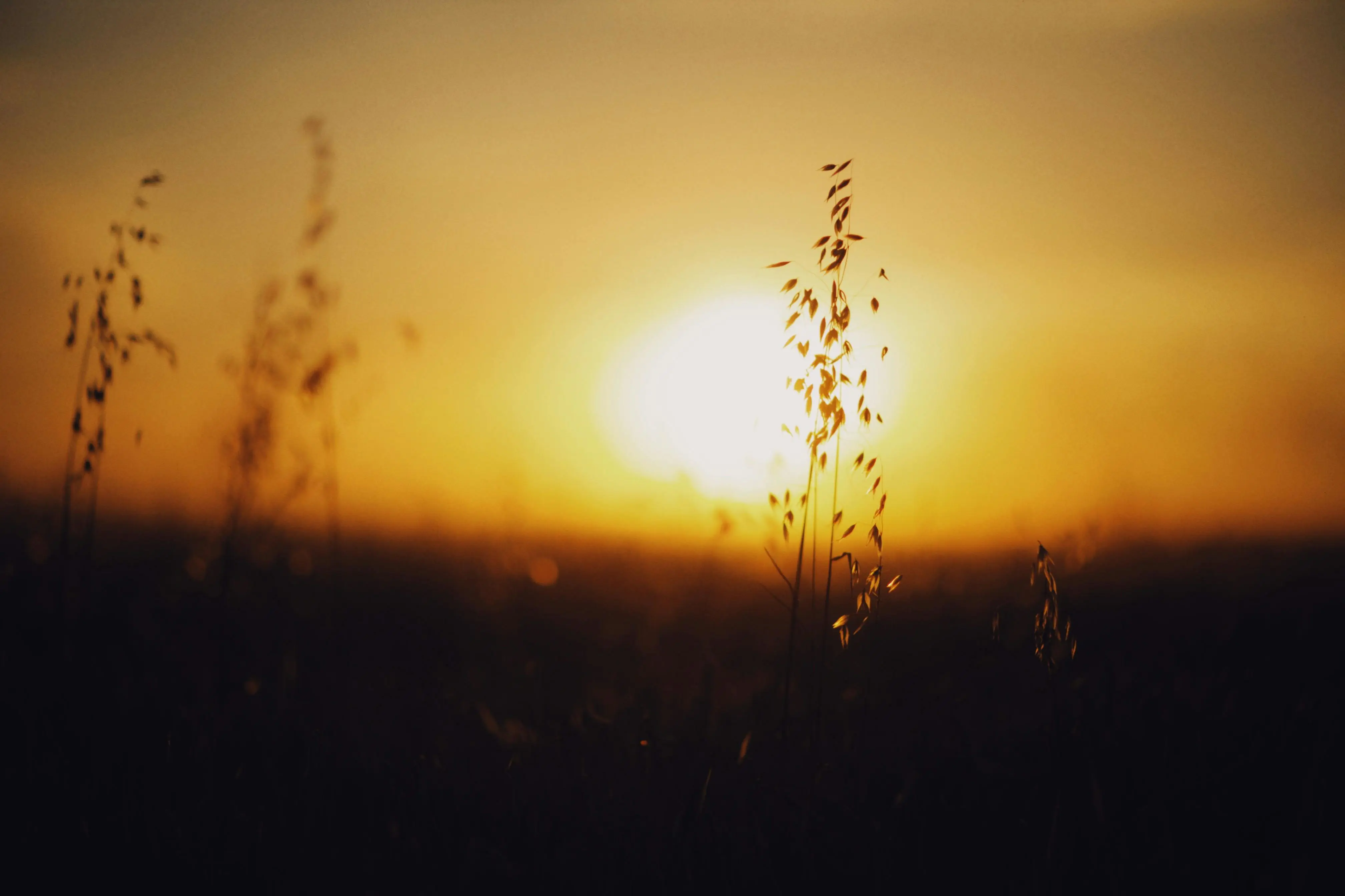 🦀 Rustls 证书工程：纯 Rust 构建零依赖 PKI 体系