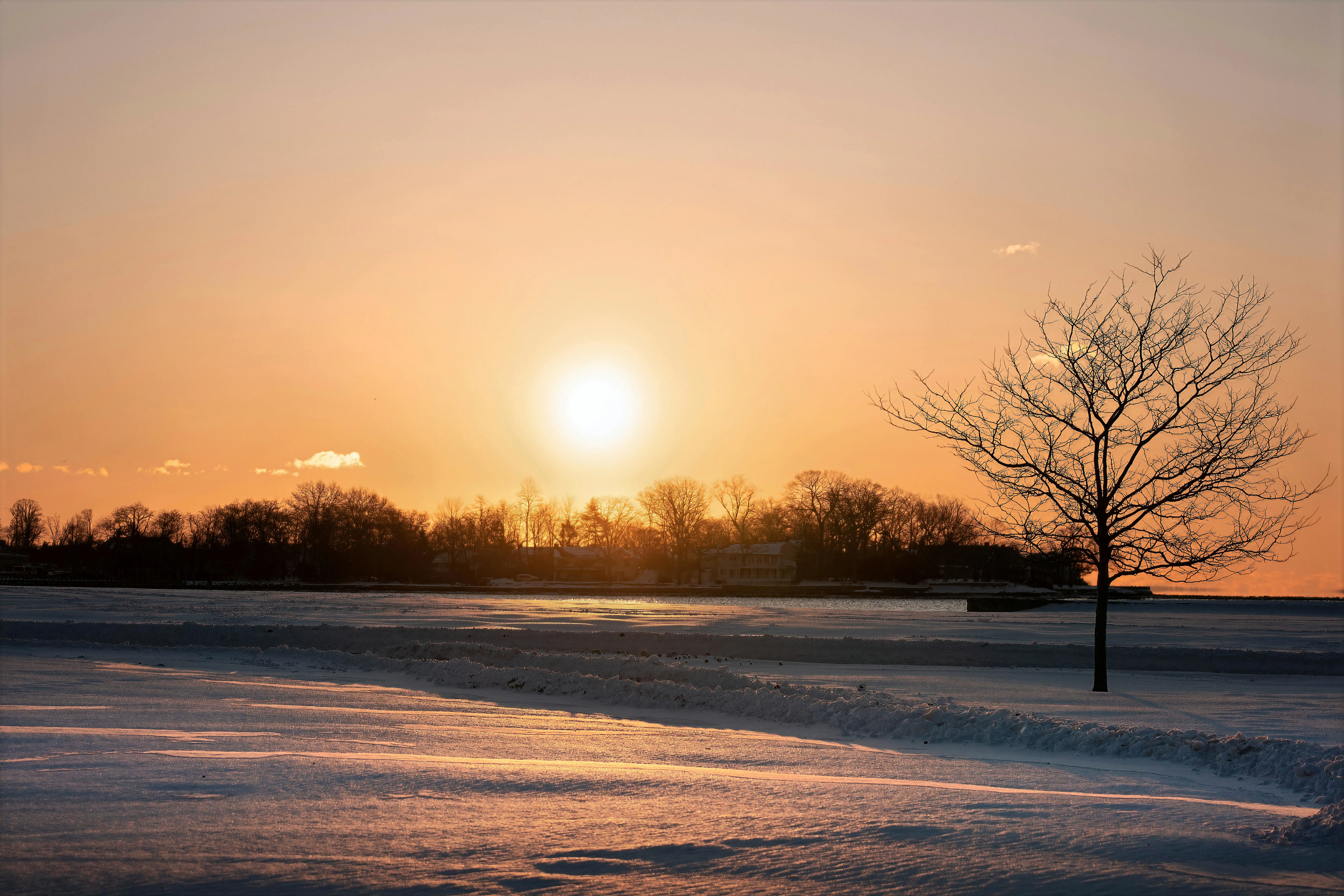 🦀 SurrealKV 生产实战：15 万 QPS、亚毫秒时序查询与 40% 降本全攻略