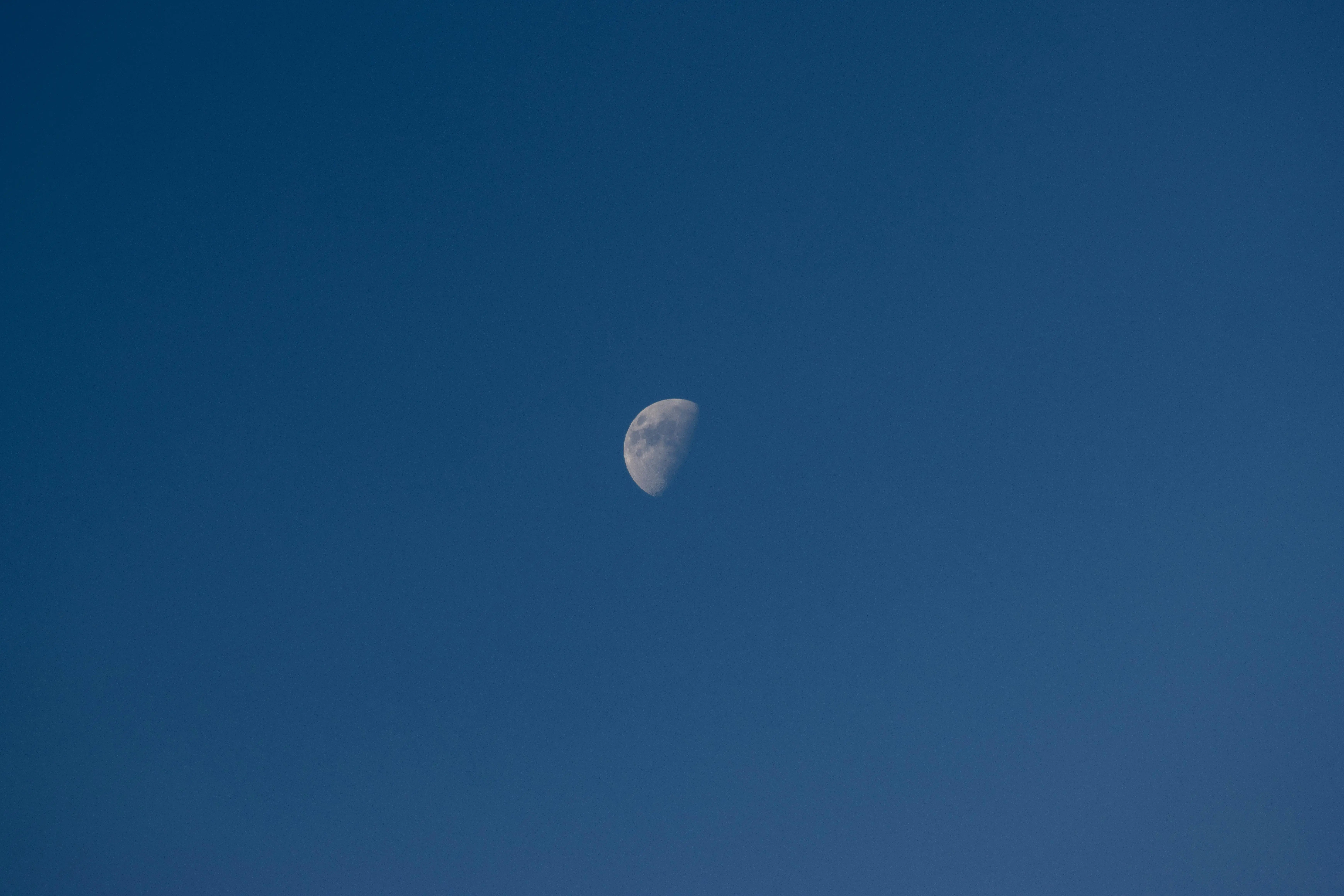 内存之舞：mimalloc 与 tikv-jemallocator 实战诗篇