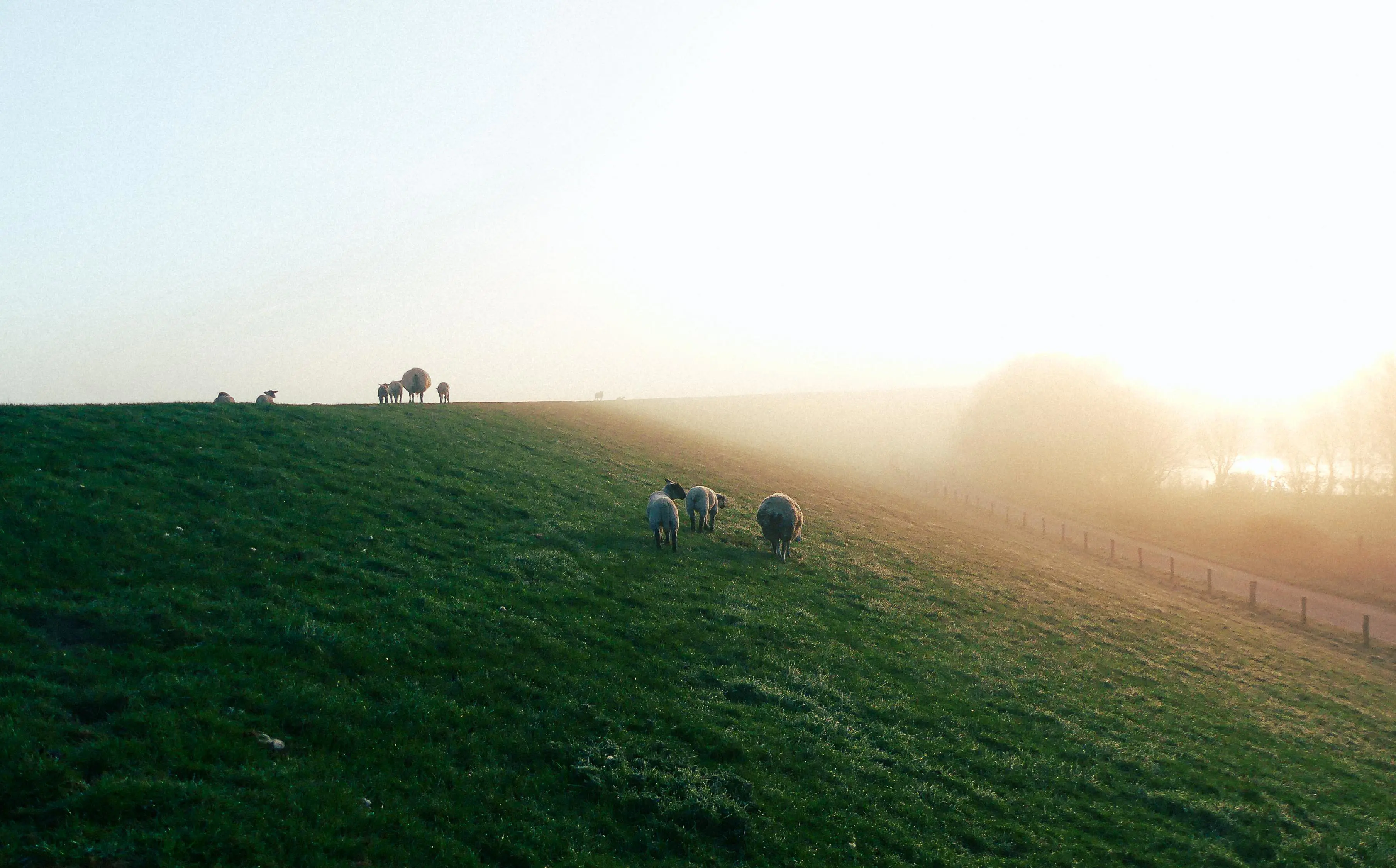 🦀 Actix 分布式配对：Redis Pub/Sub 解耦，任意节点秒级撮合
