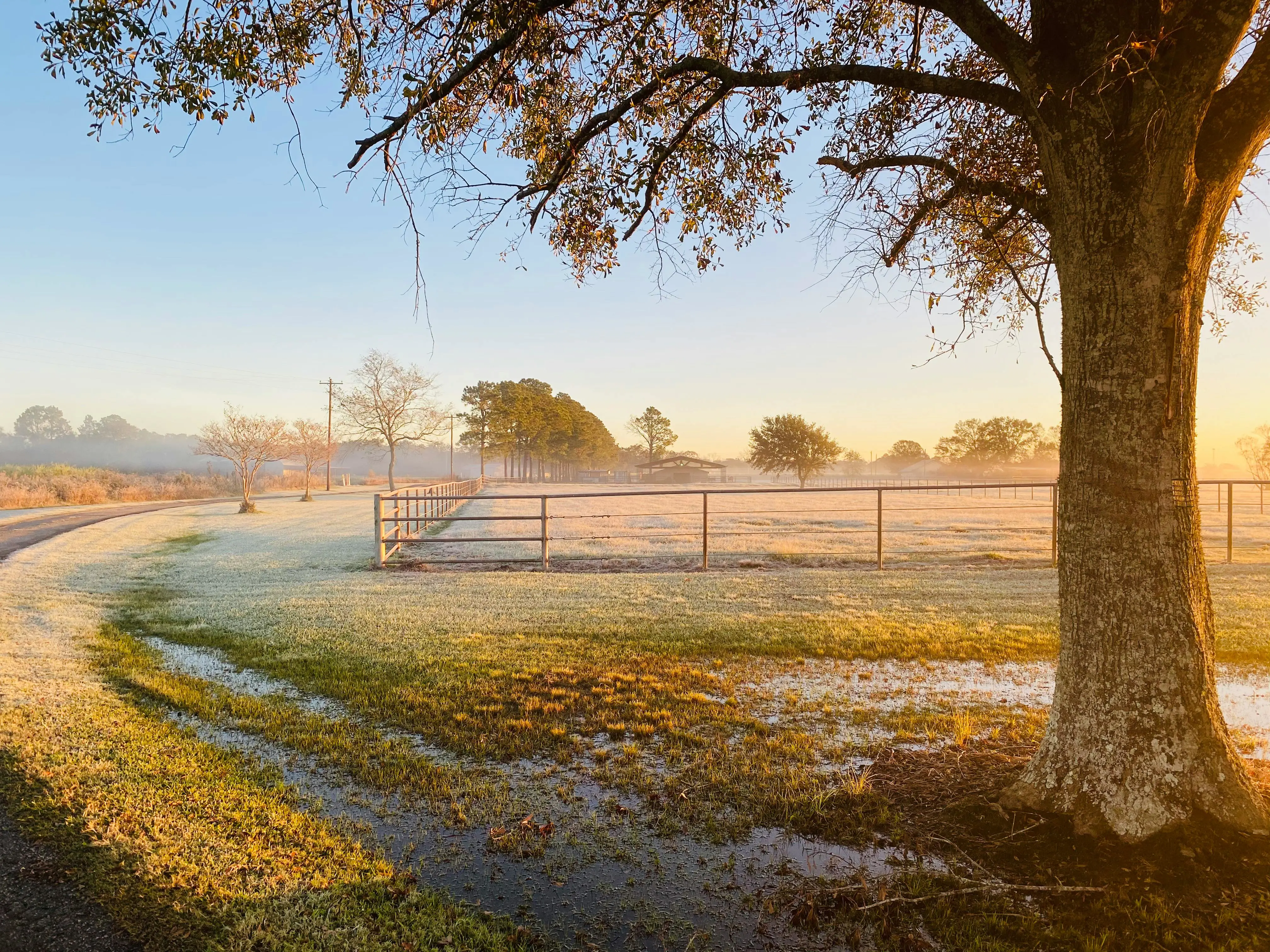 🦀 SurrealKV 集群突围战：手动分片 + 秒级备份的高可用生产方案