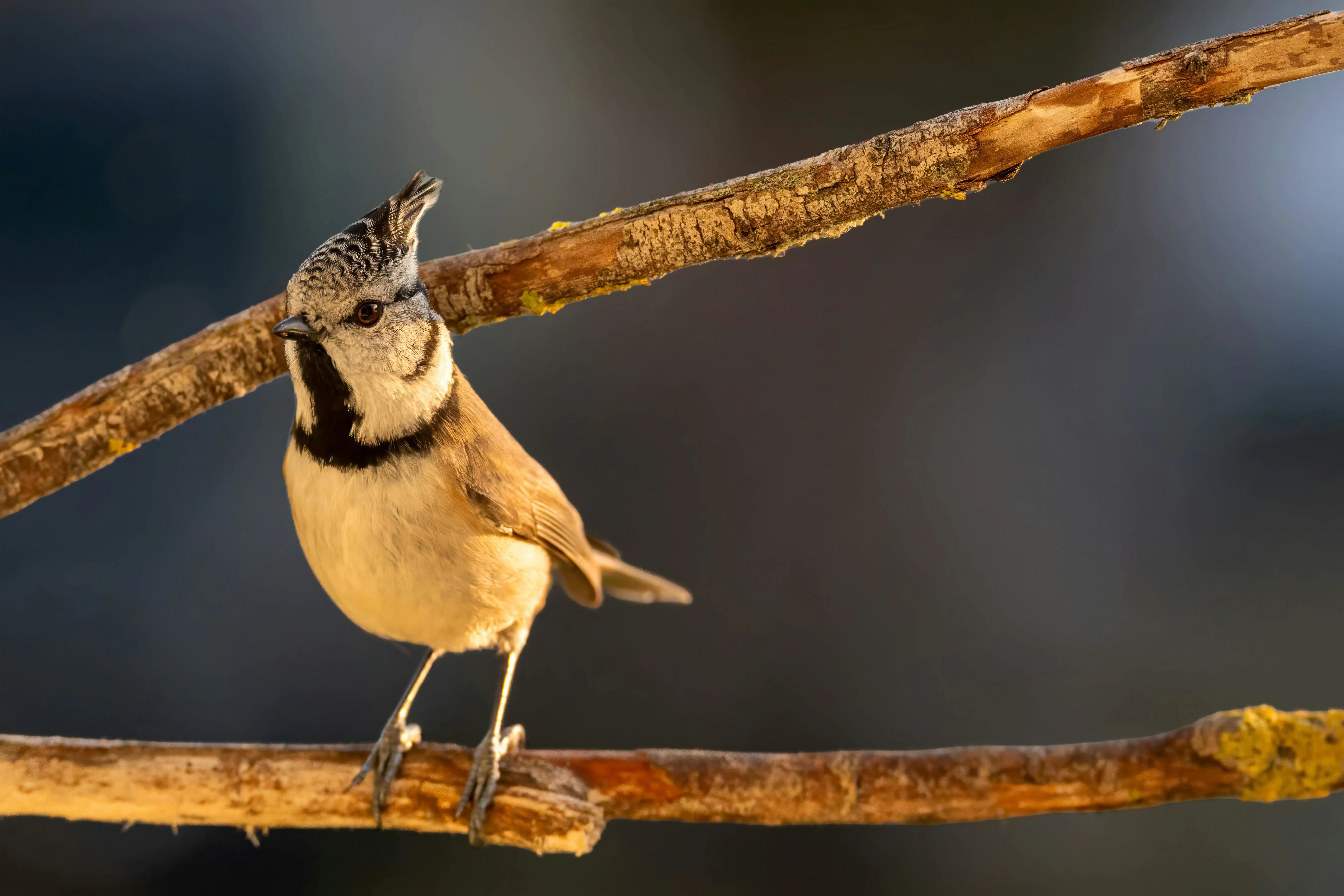 疾风 Hyper + Axum 双剑合璧：WebSocket 风暴席卷，异步王者之争——从零实战到高负载征服