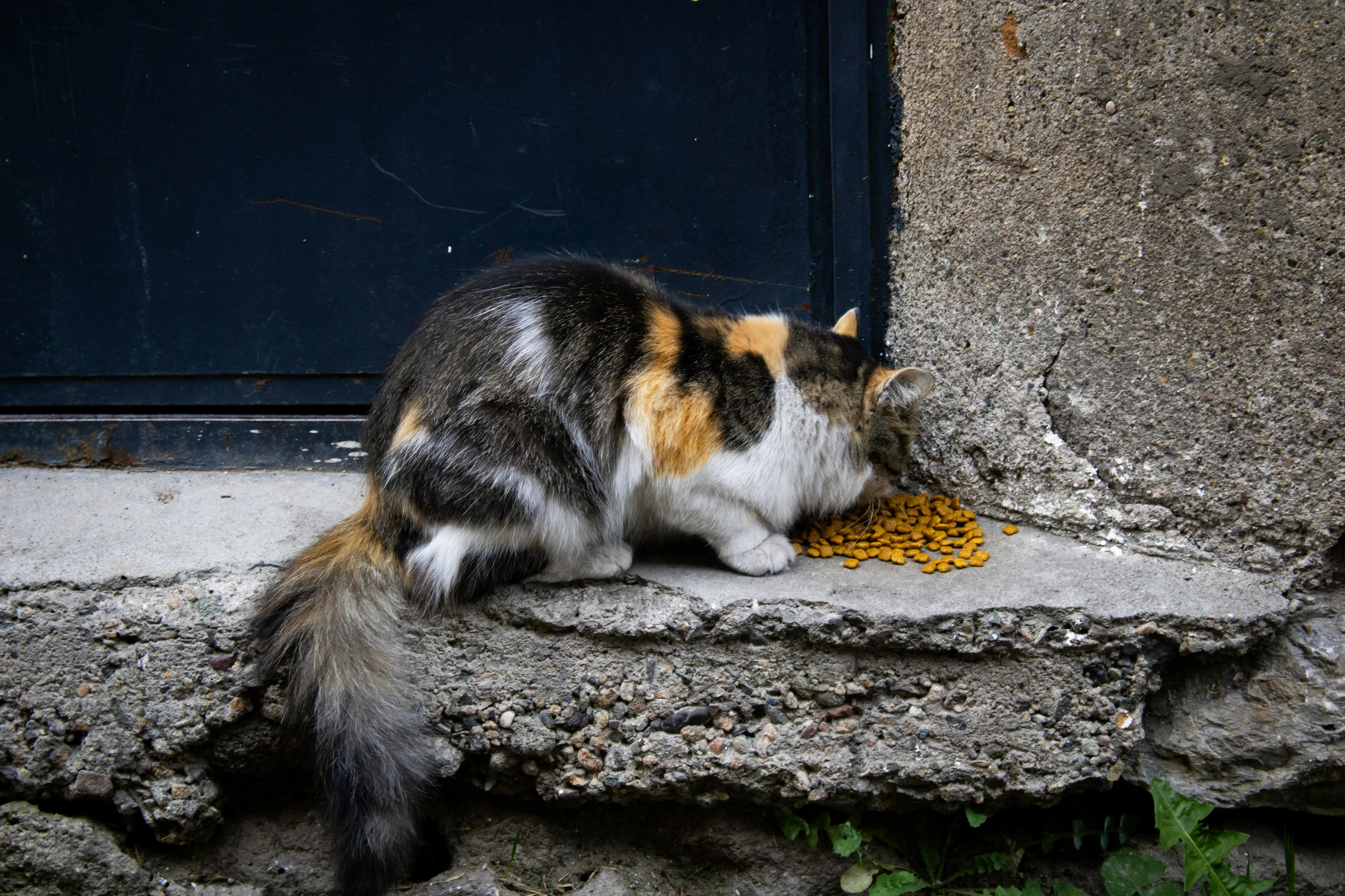 SIMD 秒算 CRC：64 字节并行，CPU 周期省 90%