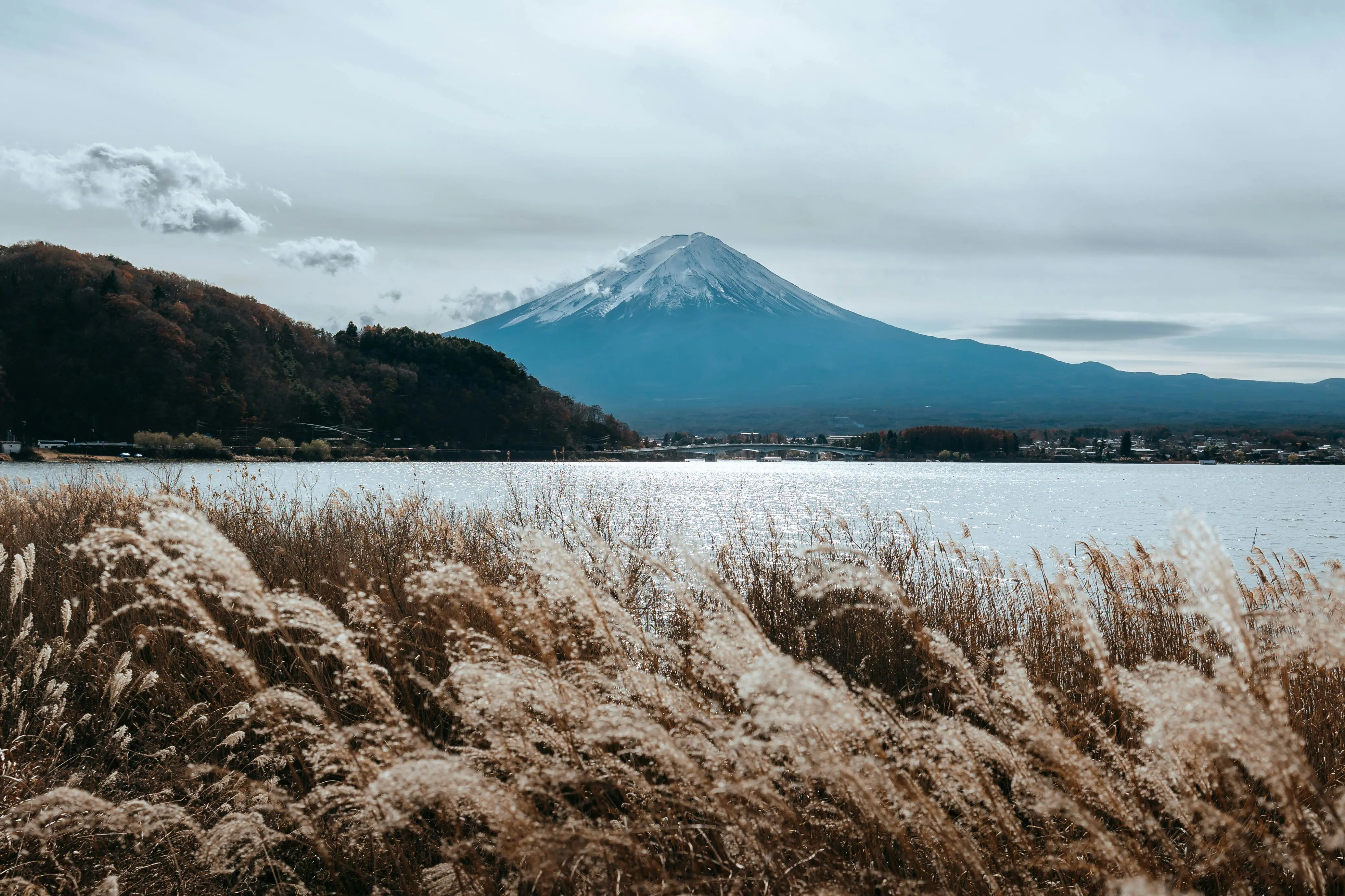 性能与稳定的抉择：深入探讨 ext4 与 XFS 的核心差异与选型指南