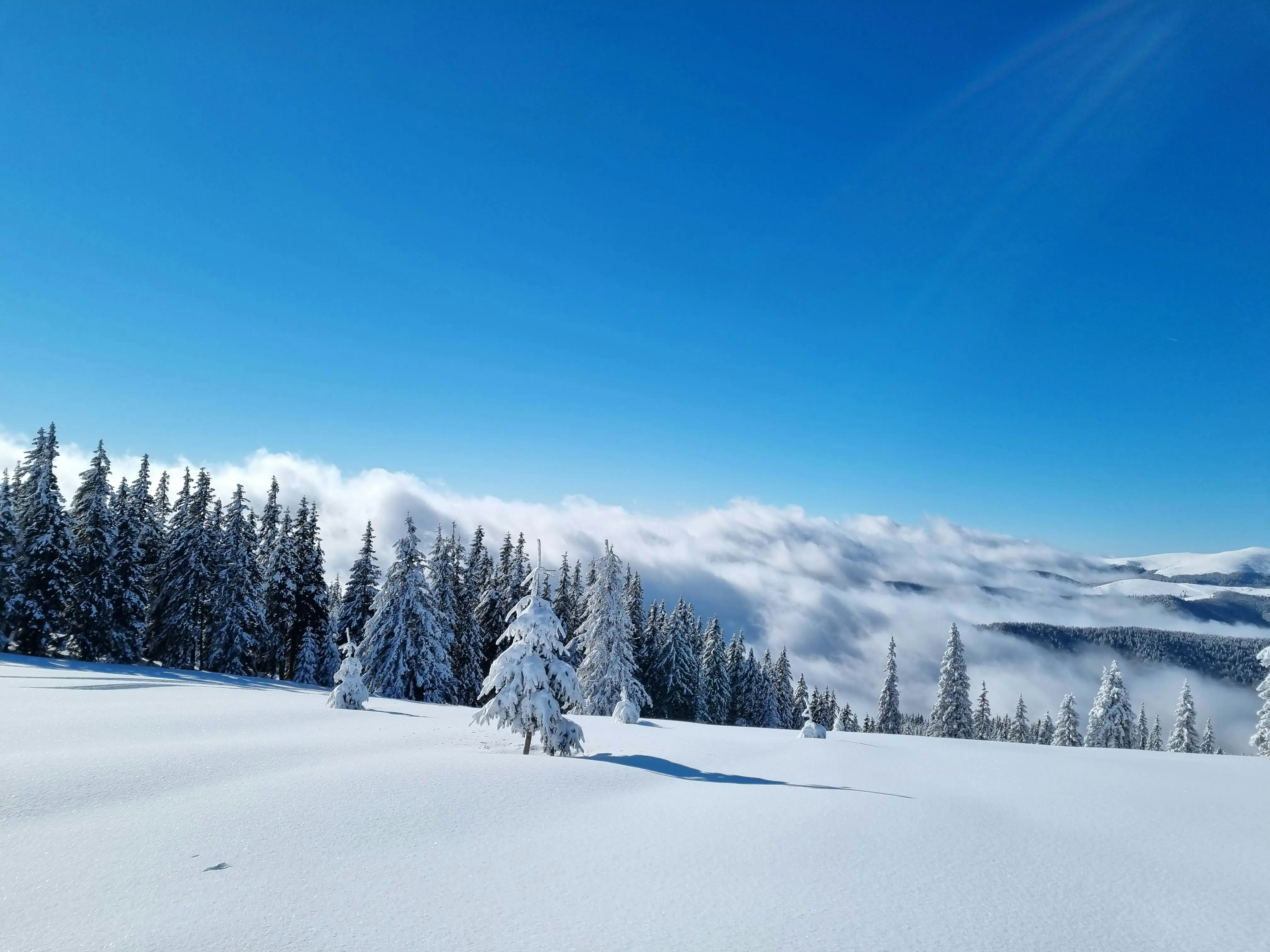 Rust Zstd 异步压缩：3 招提速 5×，流量省 70%