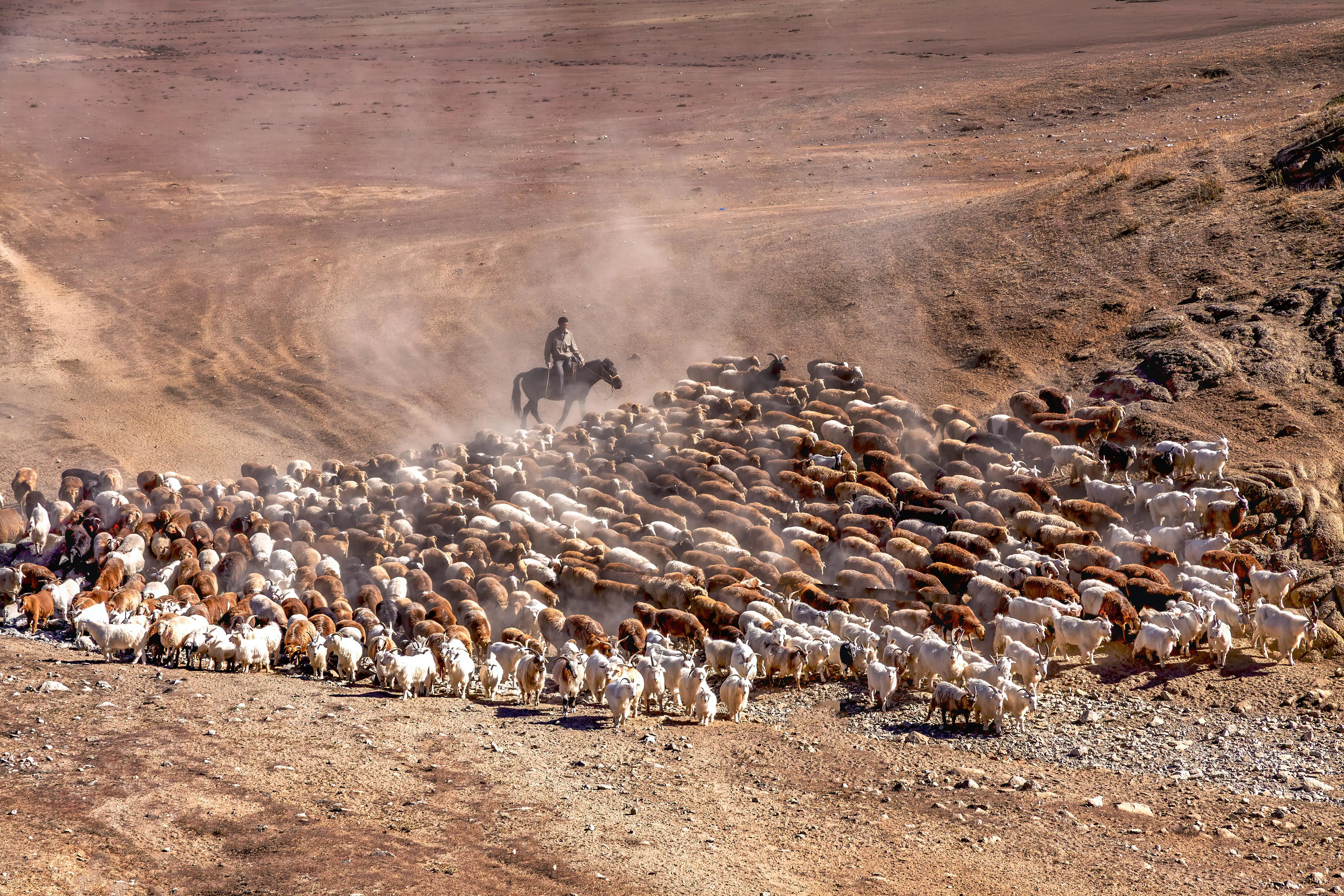存储之舞：RustFS 从入门至精通的诗意旅程