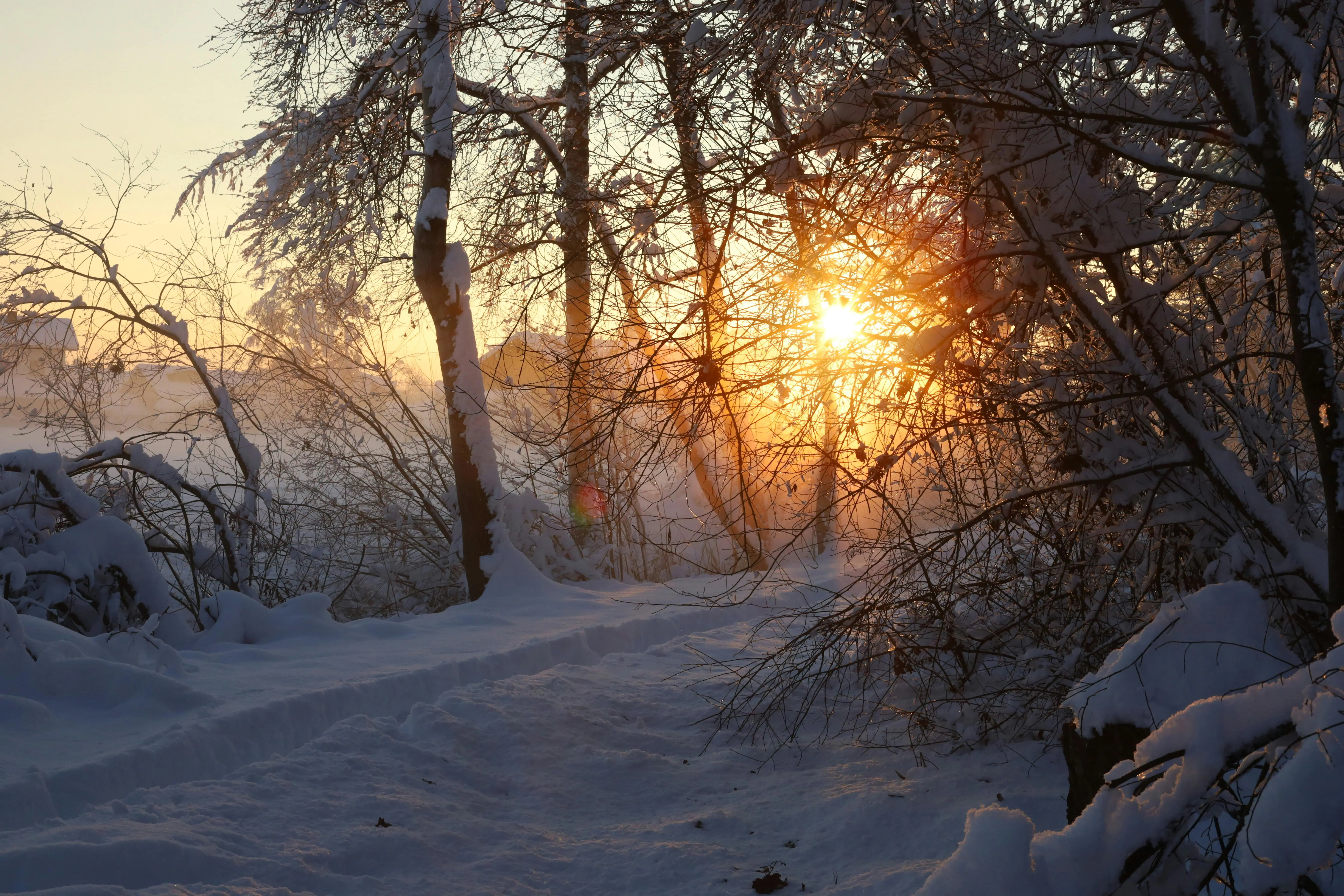 🦀 Rust 日志文件高效轮转实战指南：自定义 RollingAppender 时间 + 大小双旋转深度解析