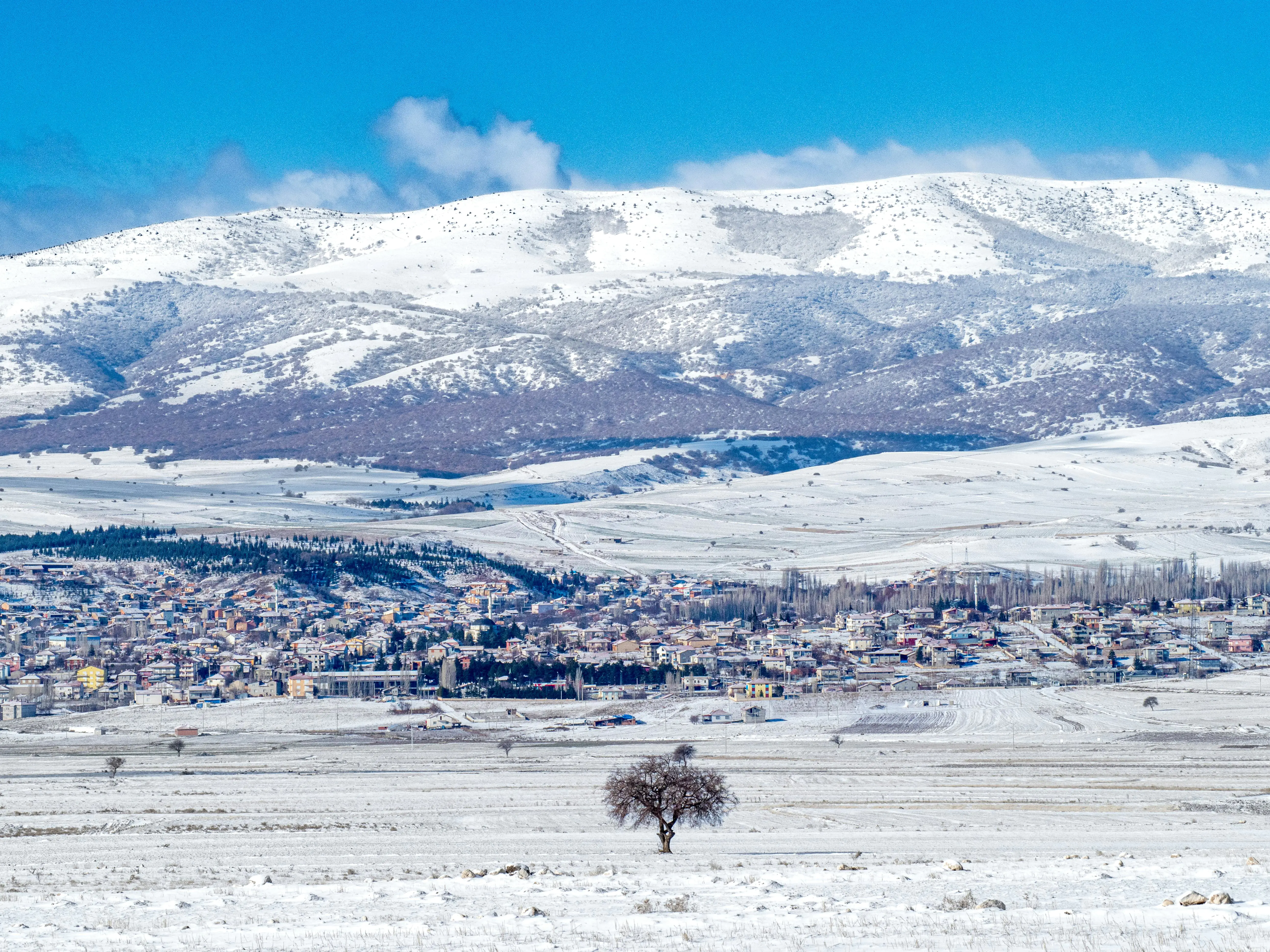 🦀 Axum CORS 零翻车：一行代码放行合法源，生产级安全直接上线