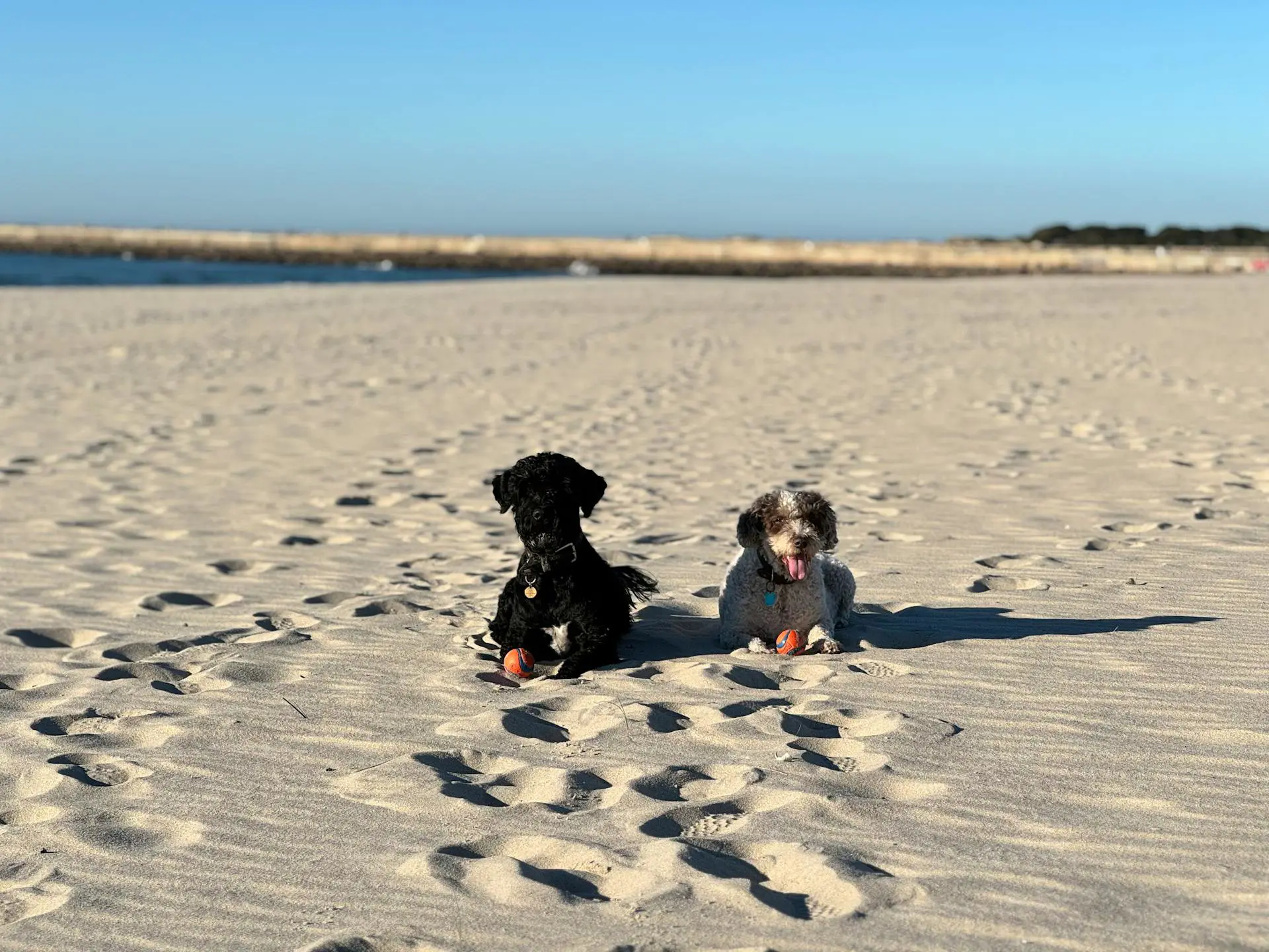 掌握 Crossbeam：Rust 高性能并发编程深度实战指南