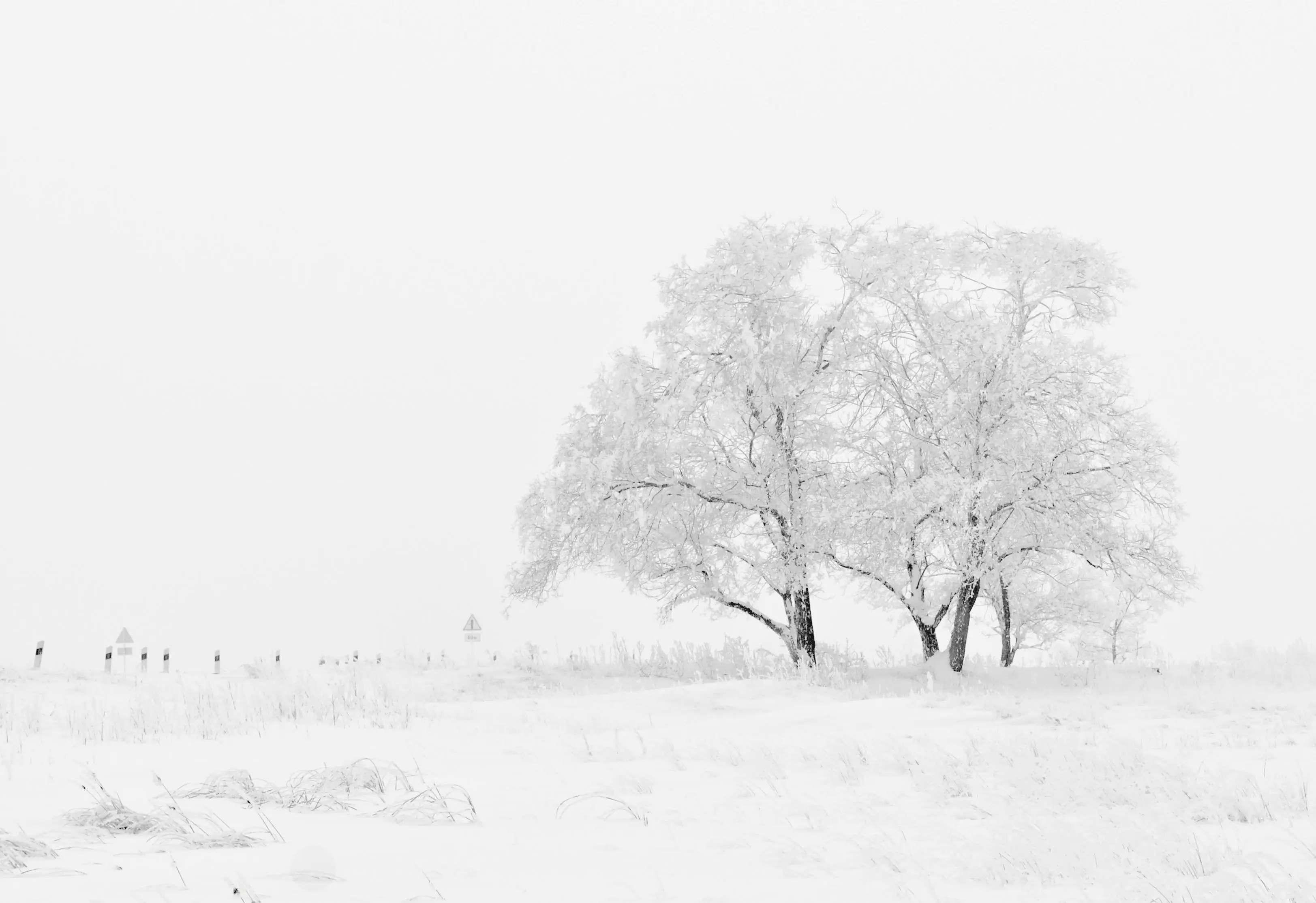 优雅整合 Dioxus 与 Tailwind CSS：打造高端前端体验