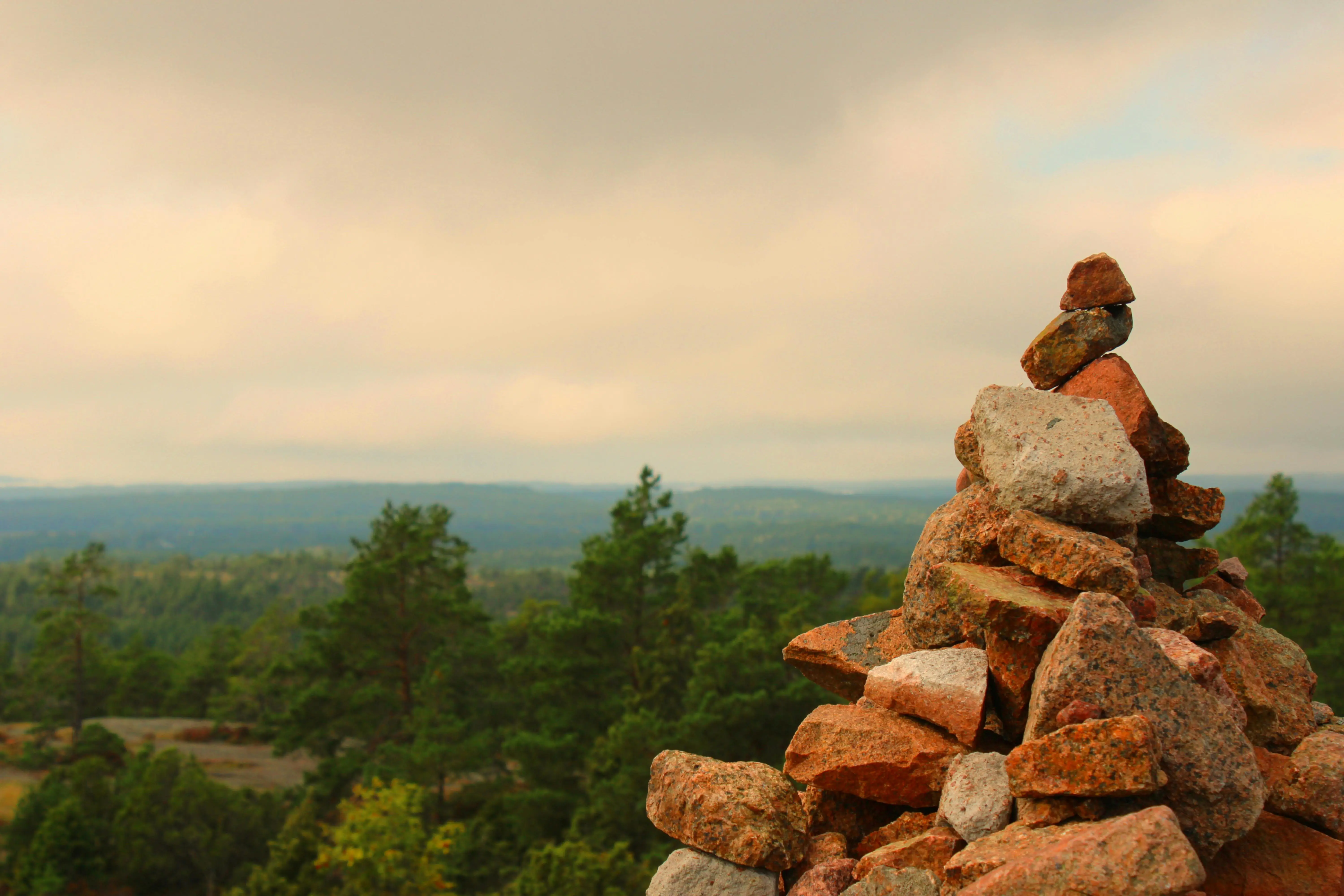 Mimalloc 秒配 Rust：一行换分配器，内存省一半