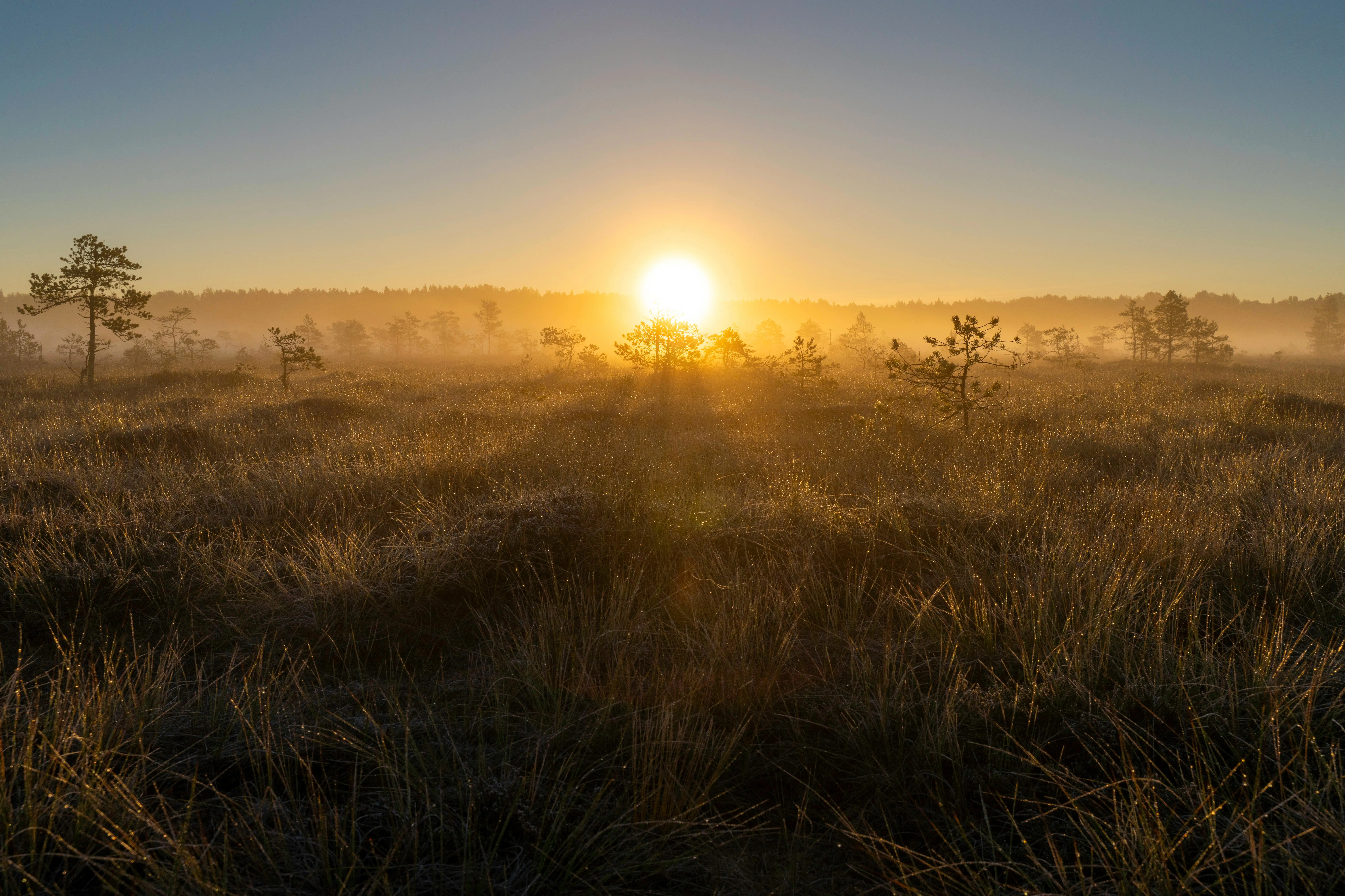🦀 Actix 事件溯源：Redis Streams 持久化，匹配全程可追溯
