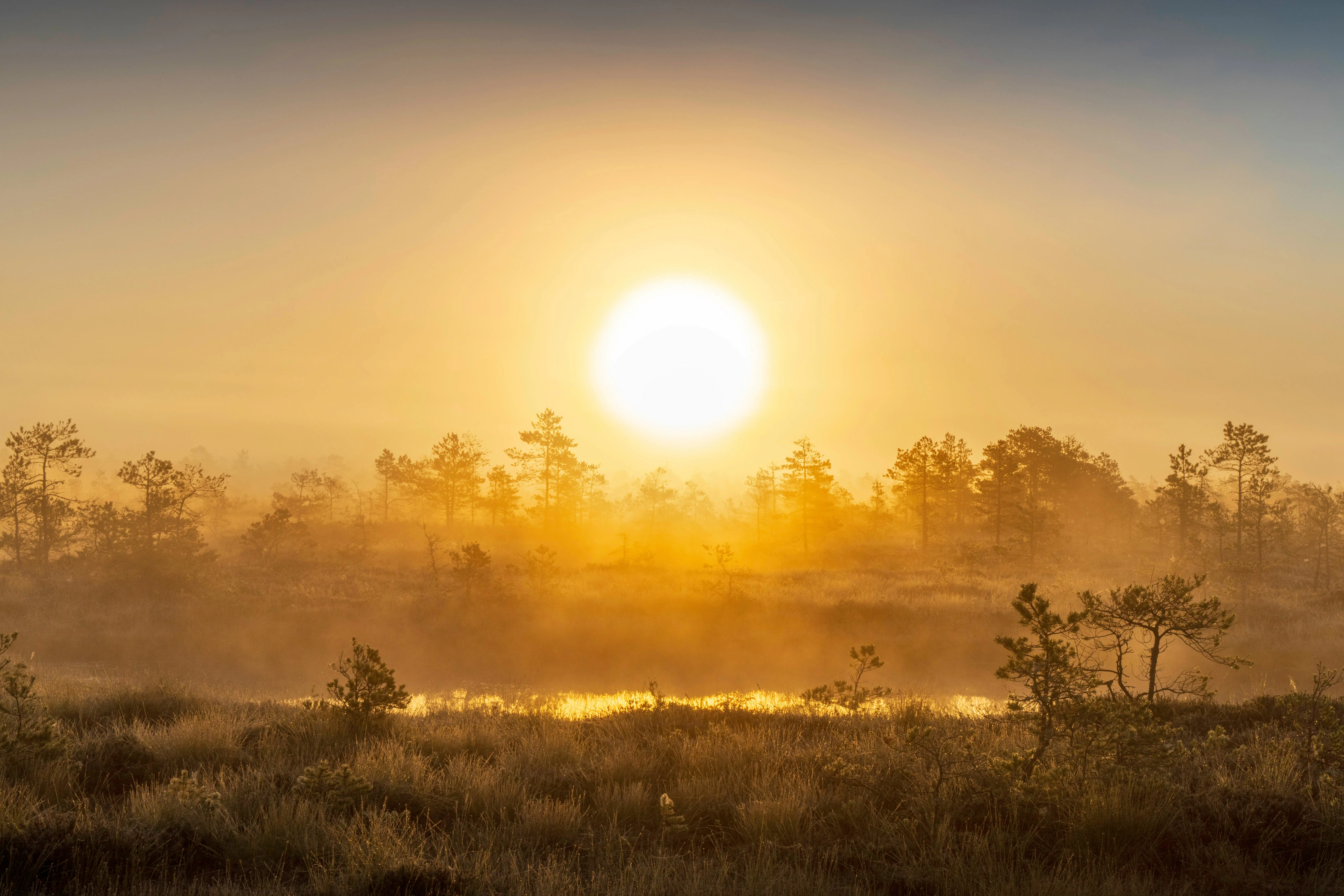 🦀 Cargo-List 源码解析：智能管理 Rust 工具的更新之道