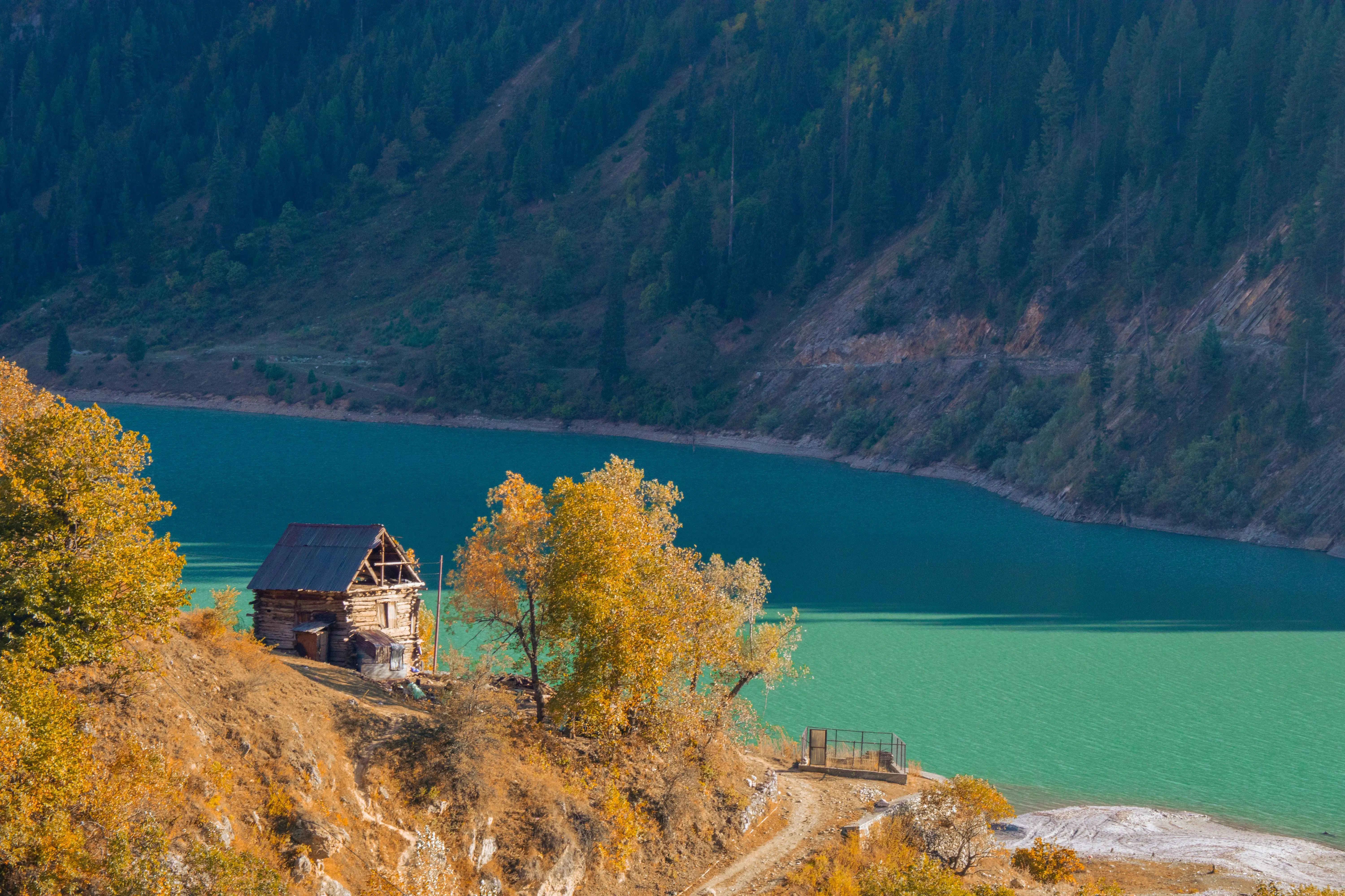 Tokio Runtime 配置之道：默认 vs 推荐，理论与实战全解析