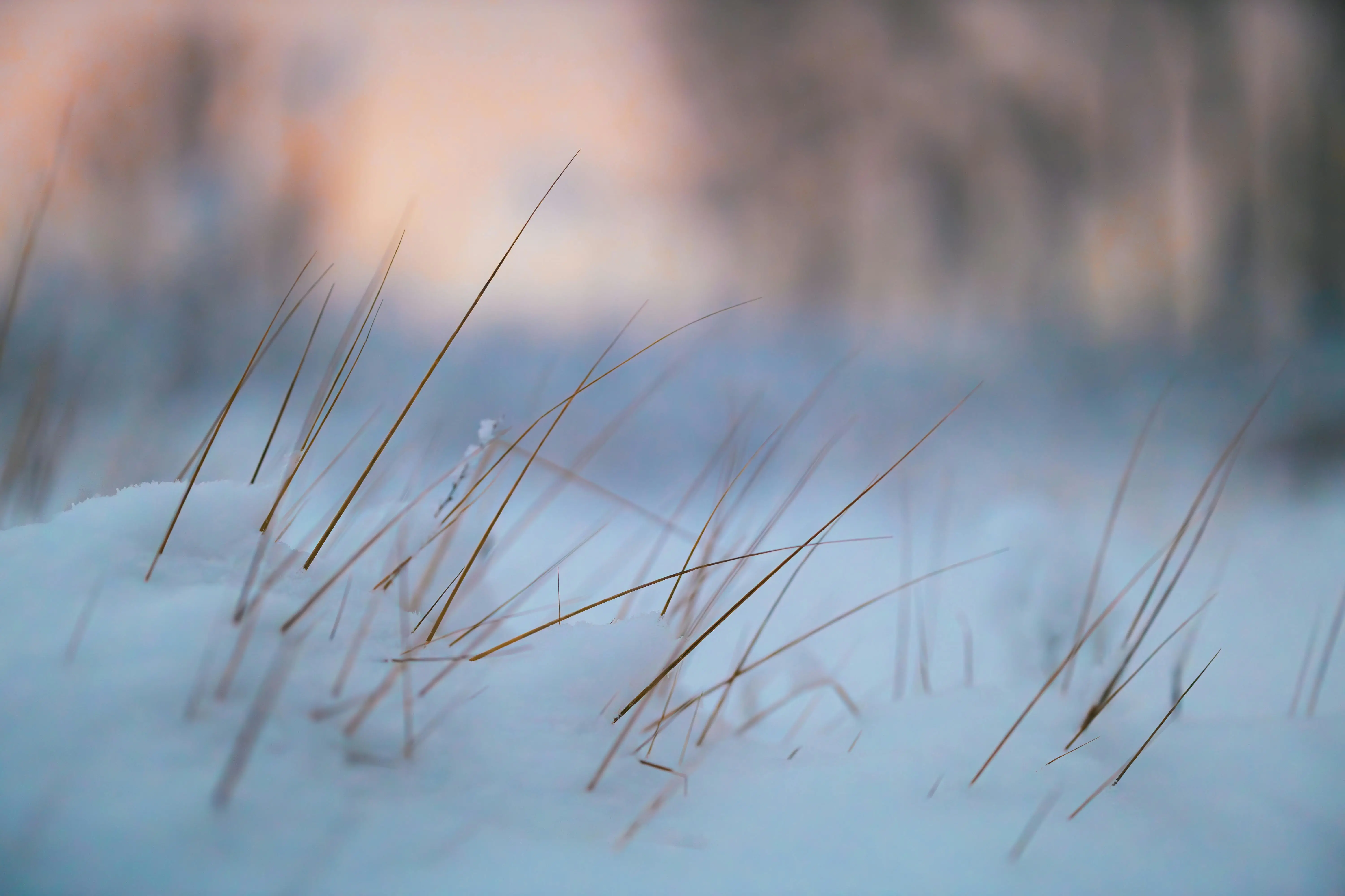 🦀 Axum JWT 零穿透：纯 Rust 中间件三行验证，roles 粒度秒级授权