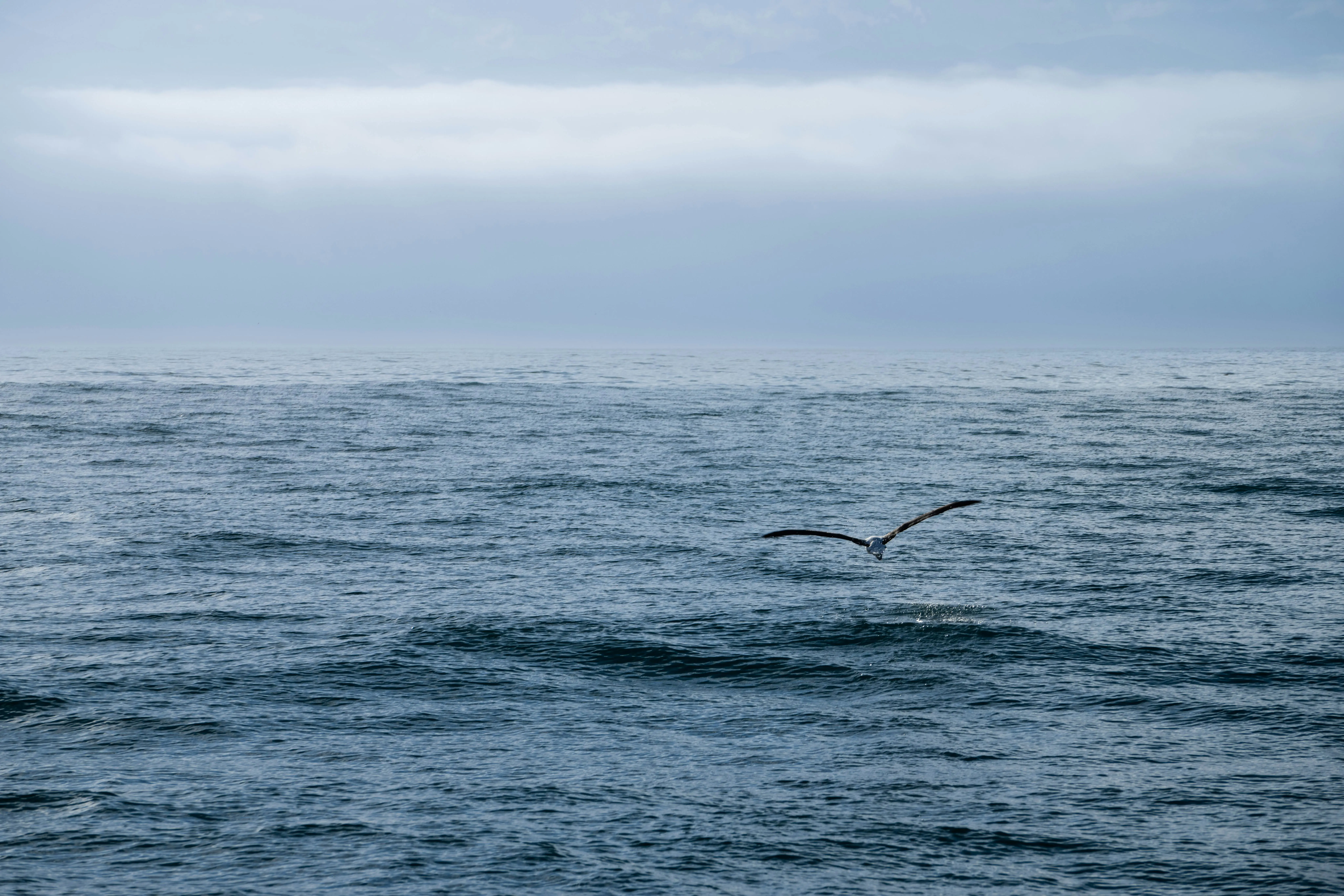 🦀 Rust 性能核爆：从晶体管到 CI/CD，target-cpu 精准制导  