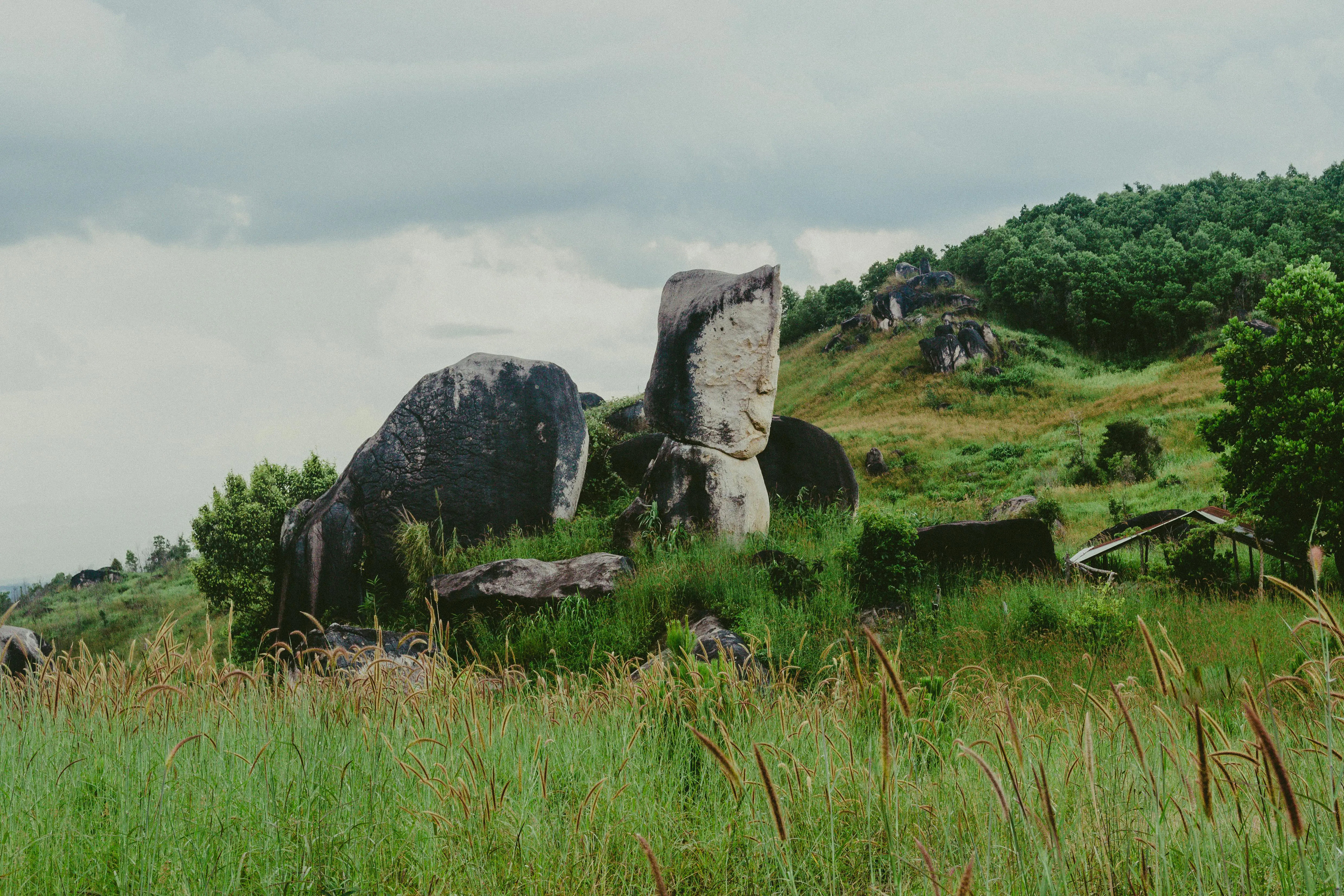 Moka 缓存秒上手：1 行代码，QPS 翻 10 倍