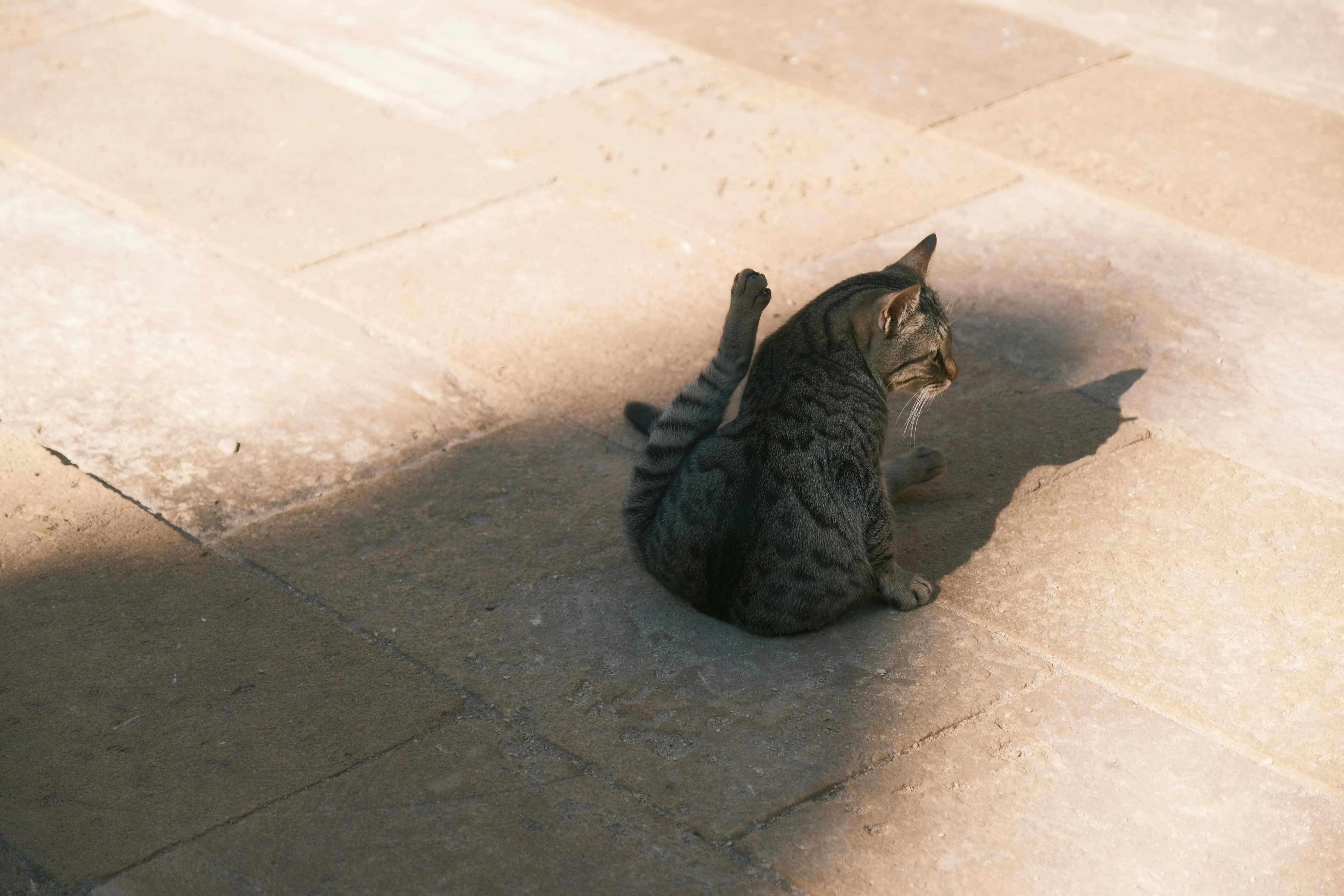 🦀 Axum 秒级限流：Governor 令牌桶一键接入，Redis 分布式抗 DDoS