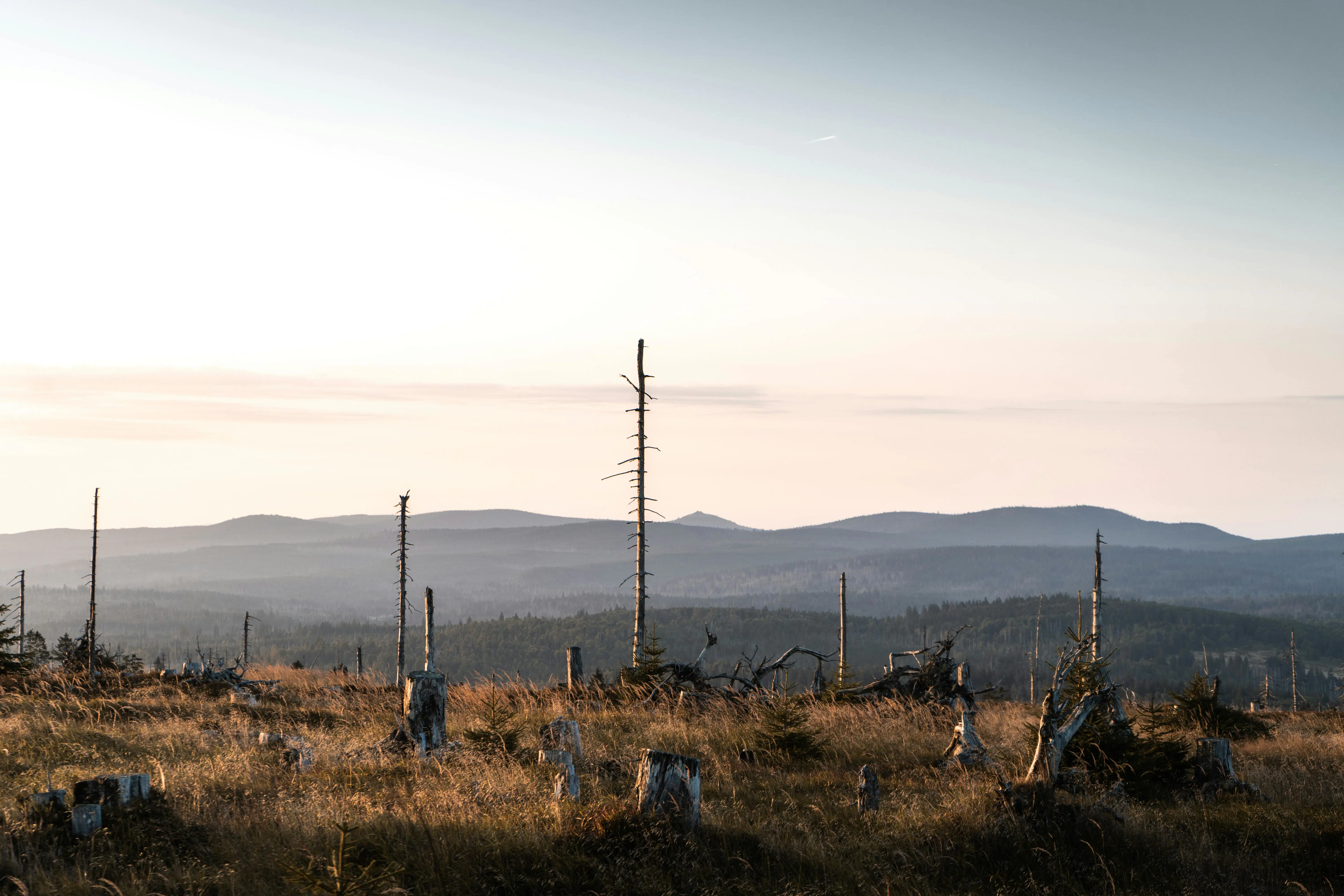 🦀 Actix 高阶：万级并发、跨进程集群、监督自愈全拿下