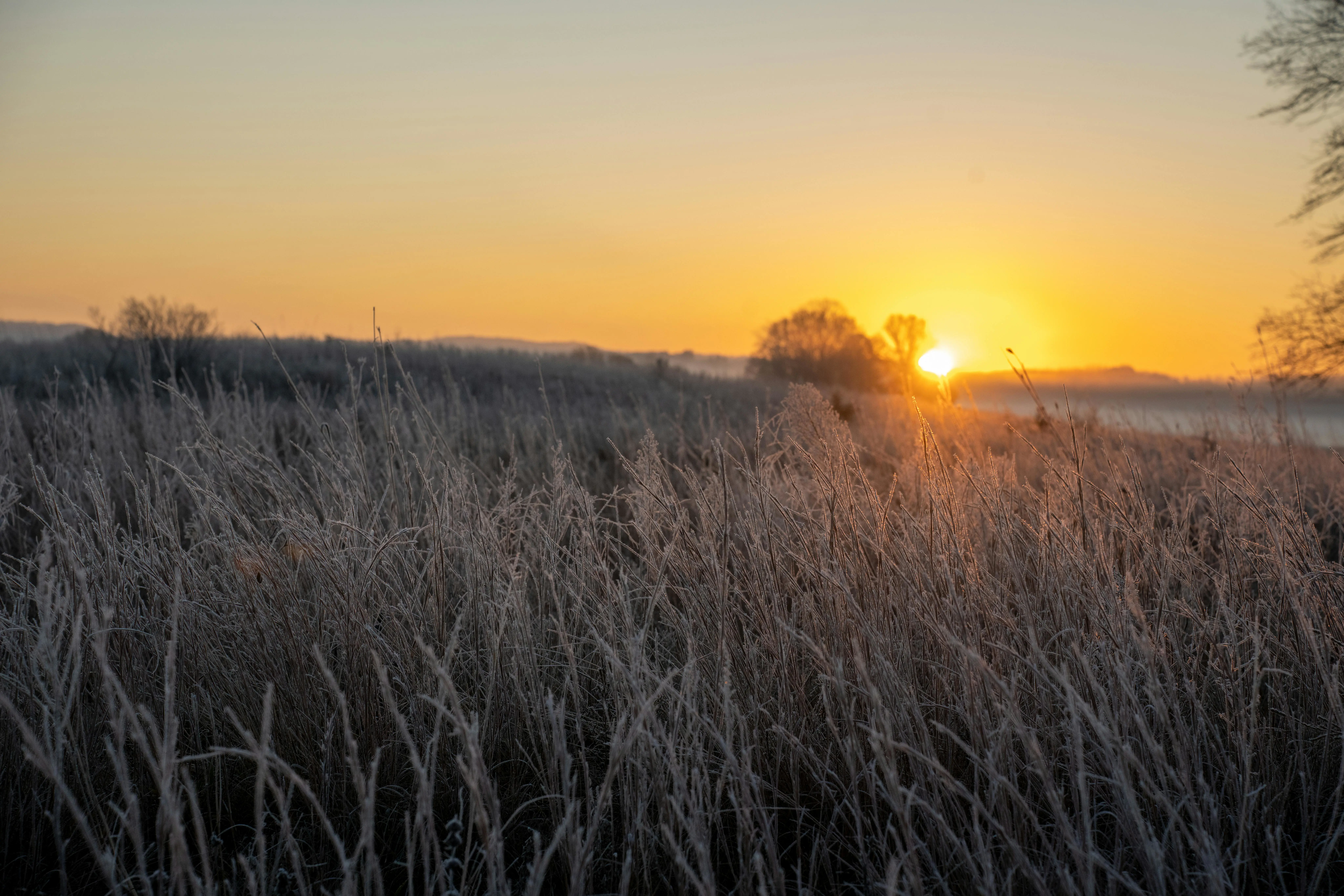 🦀 Tonic mTLS 攻防实战：Rust gRPC 零信任安全构建指南