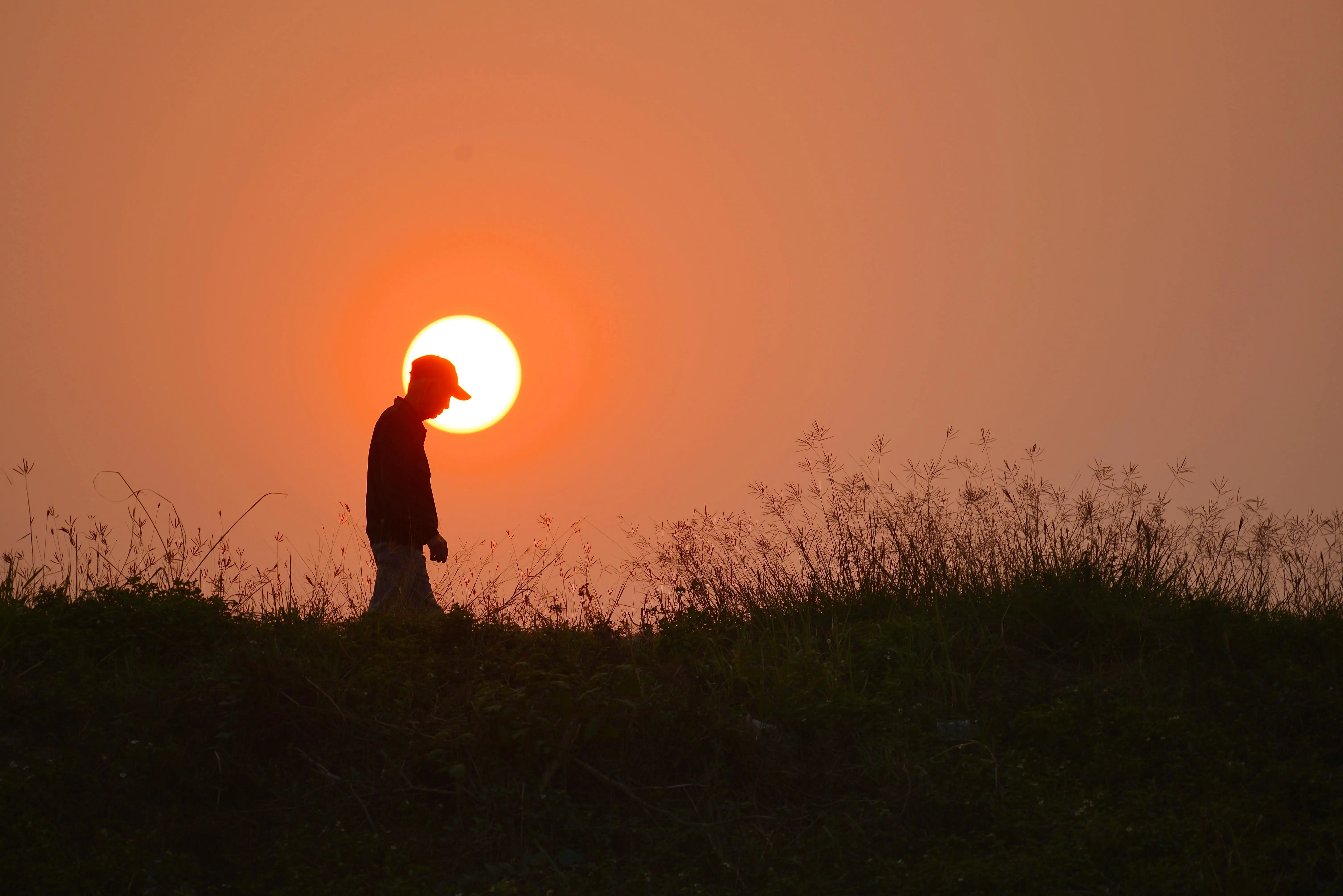 Rust 纯原生实现图像压缩与格式转换：无外部二进制依赖