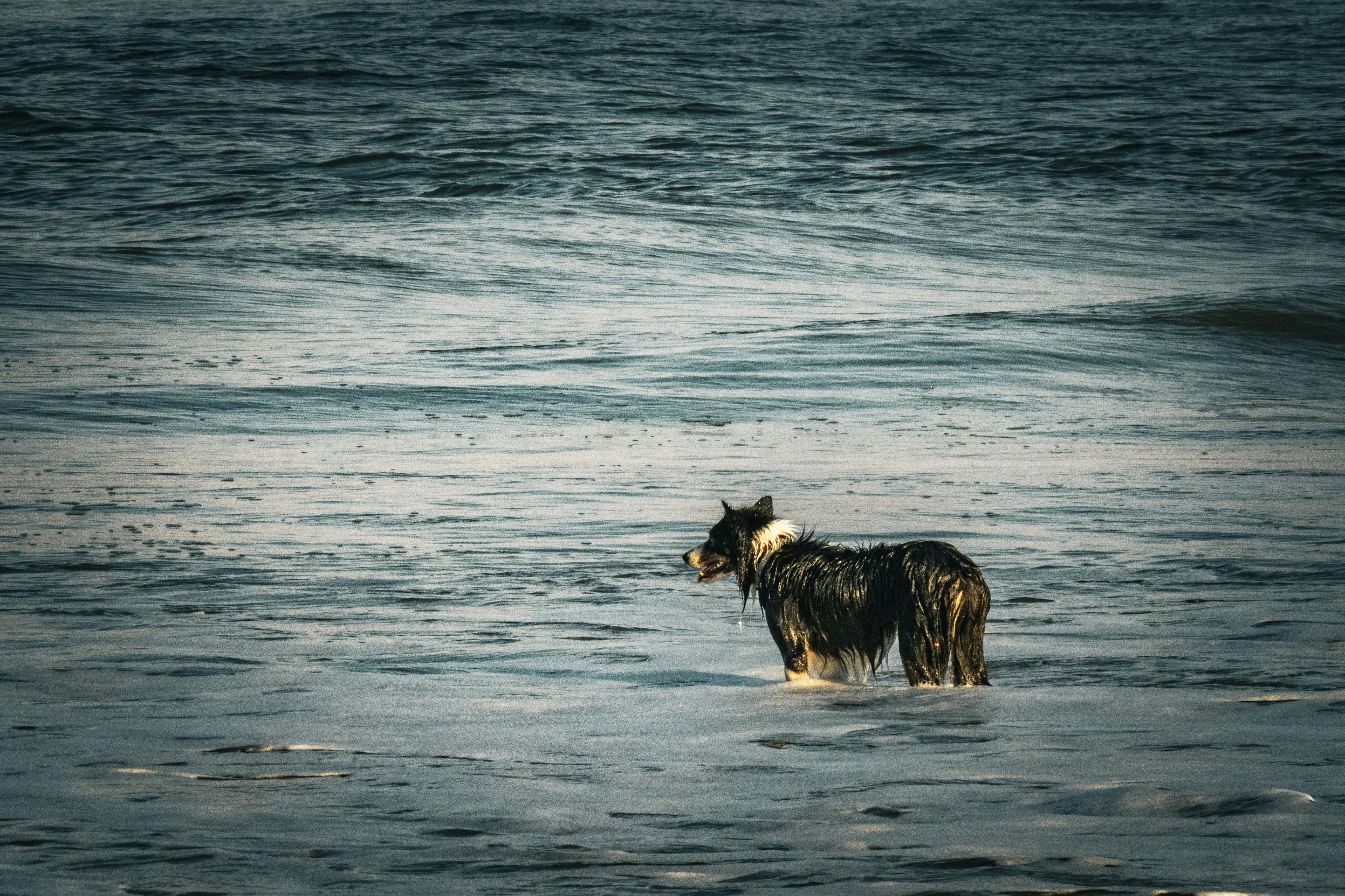 Rust 跨平台秒发包：一条命令交叉编译 4 种目标