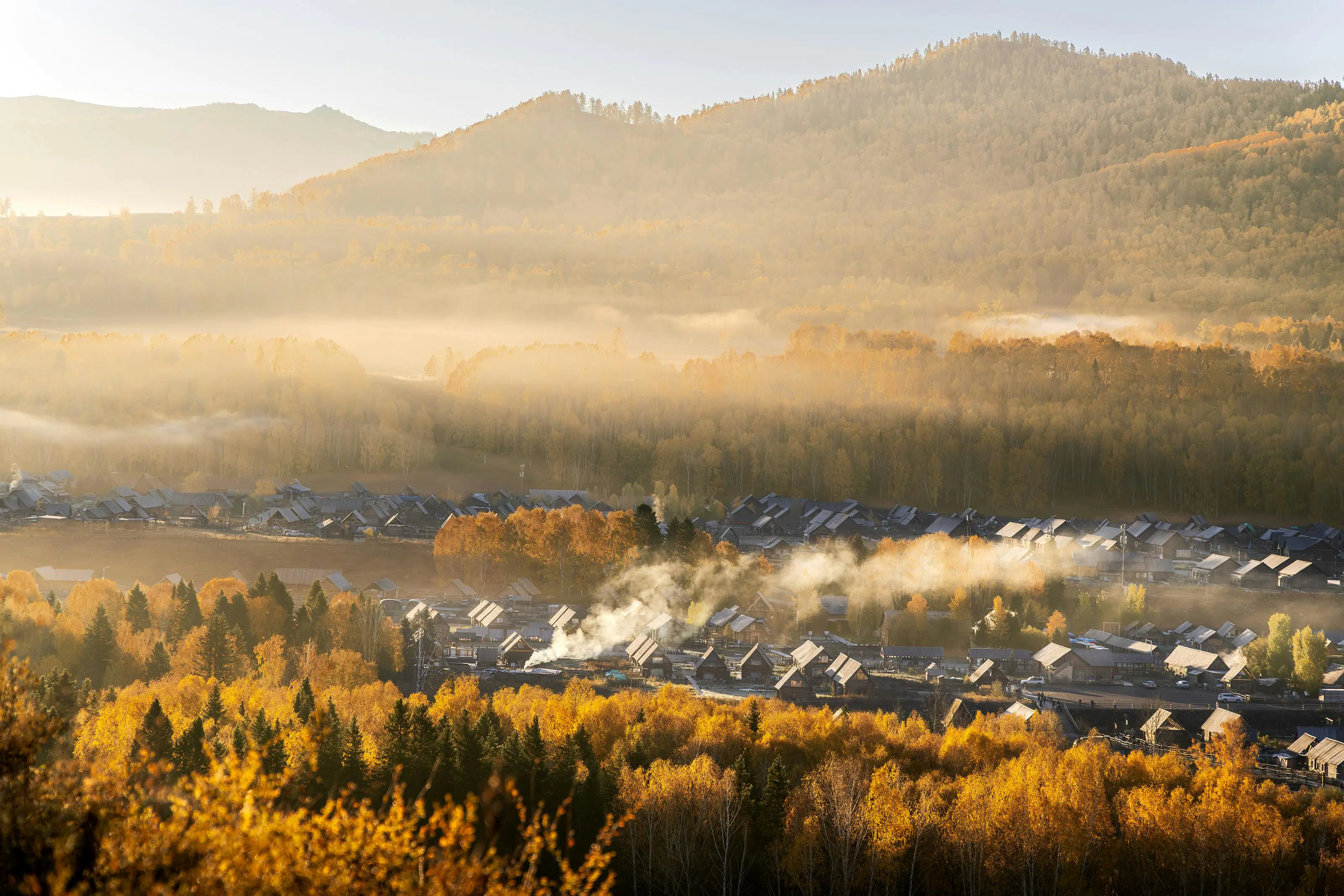 🦀 Tonic-Prost-Build 实战：从零构建高性能 Rust gRPC 服务