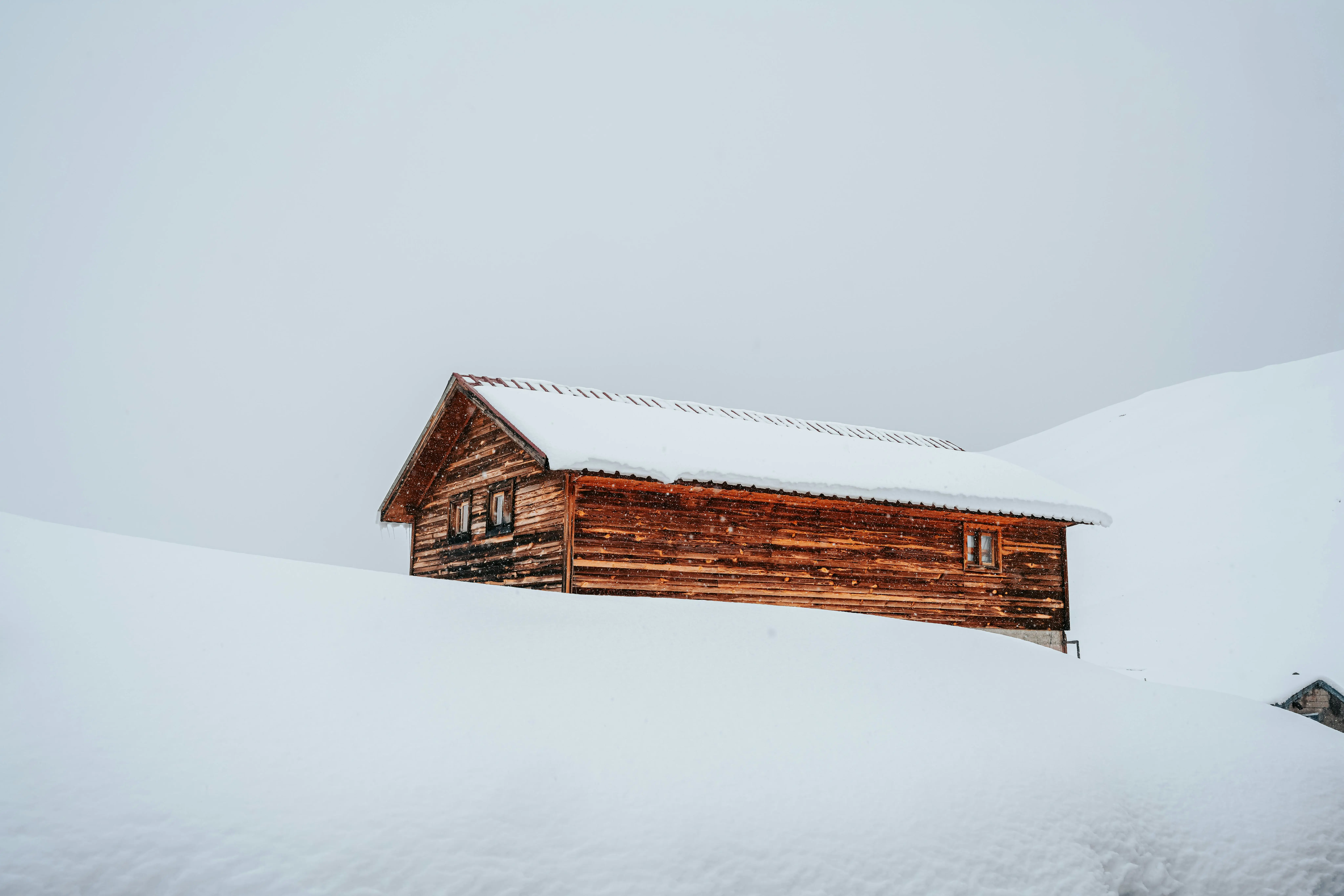 现并移除两个恶意 crate：finch-rust 与 sha-rust 